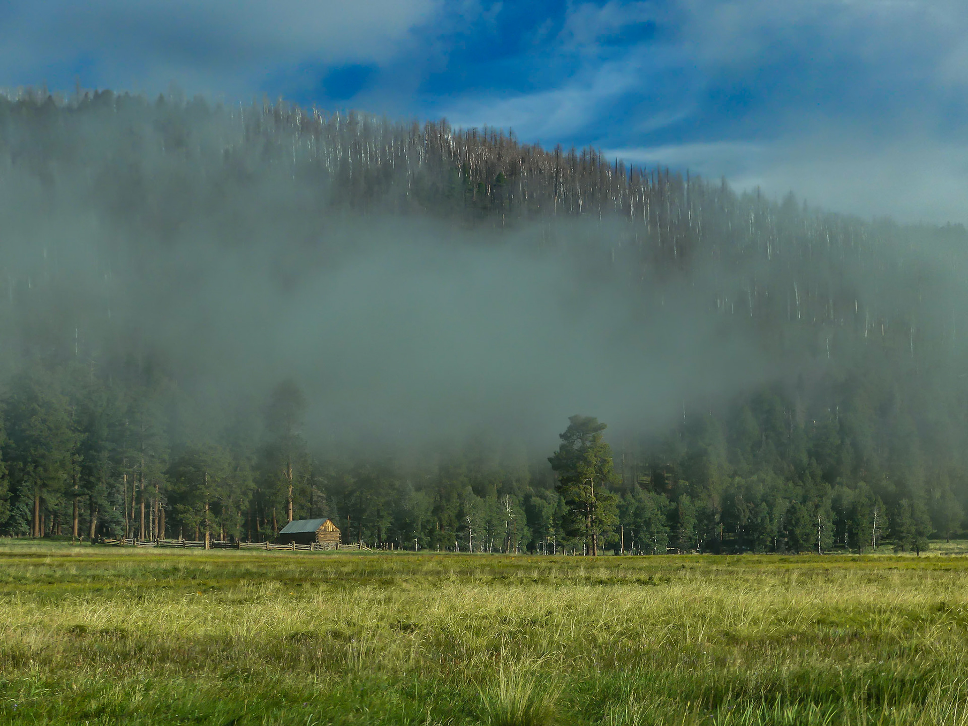 Morning Fog on Homestead