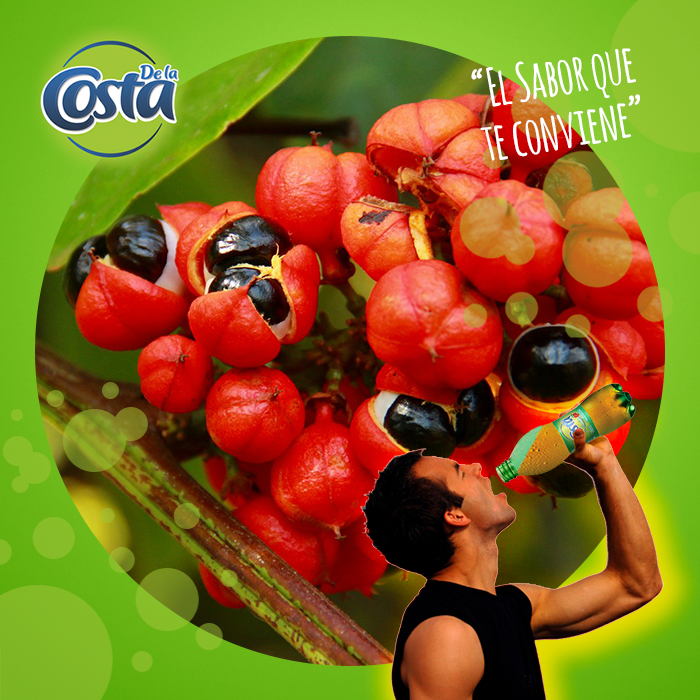 Guaraná De la Costa