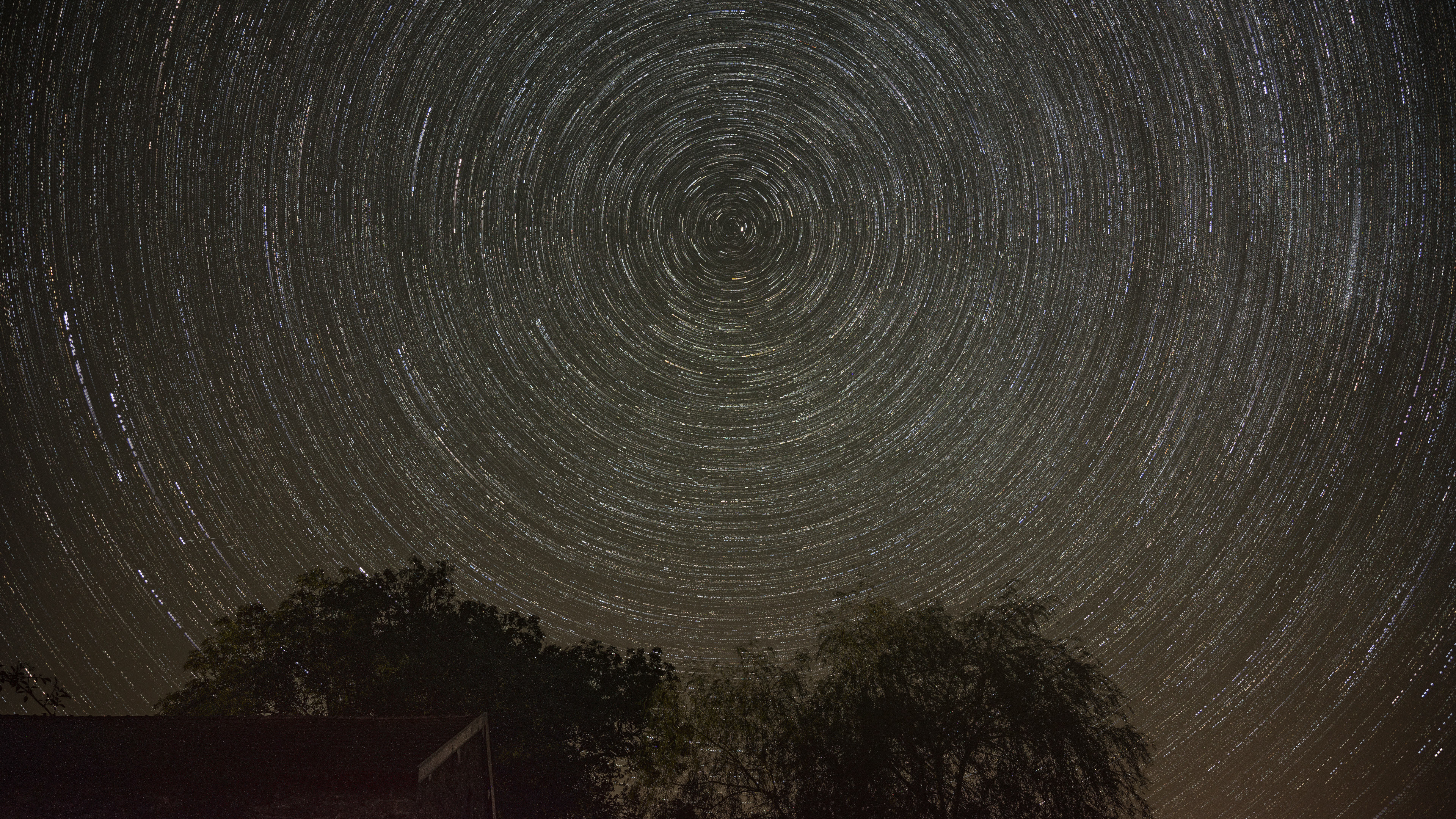 Circumpolaire