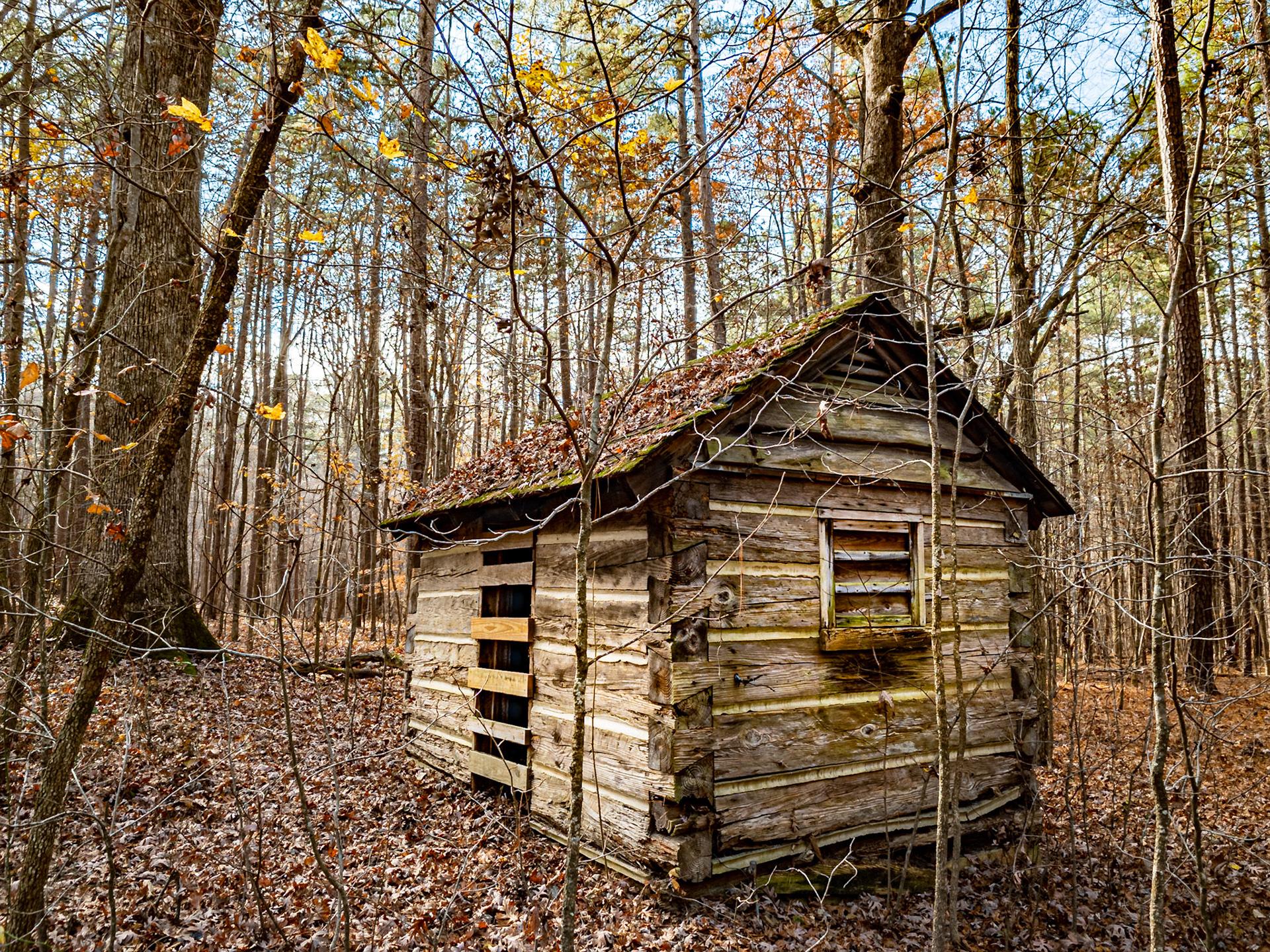 Cabin, Umstead State Park, Raleigh, NC