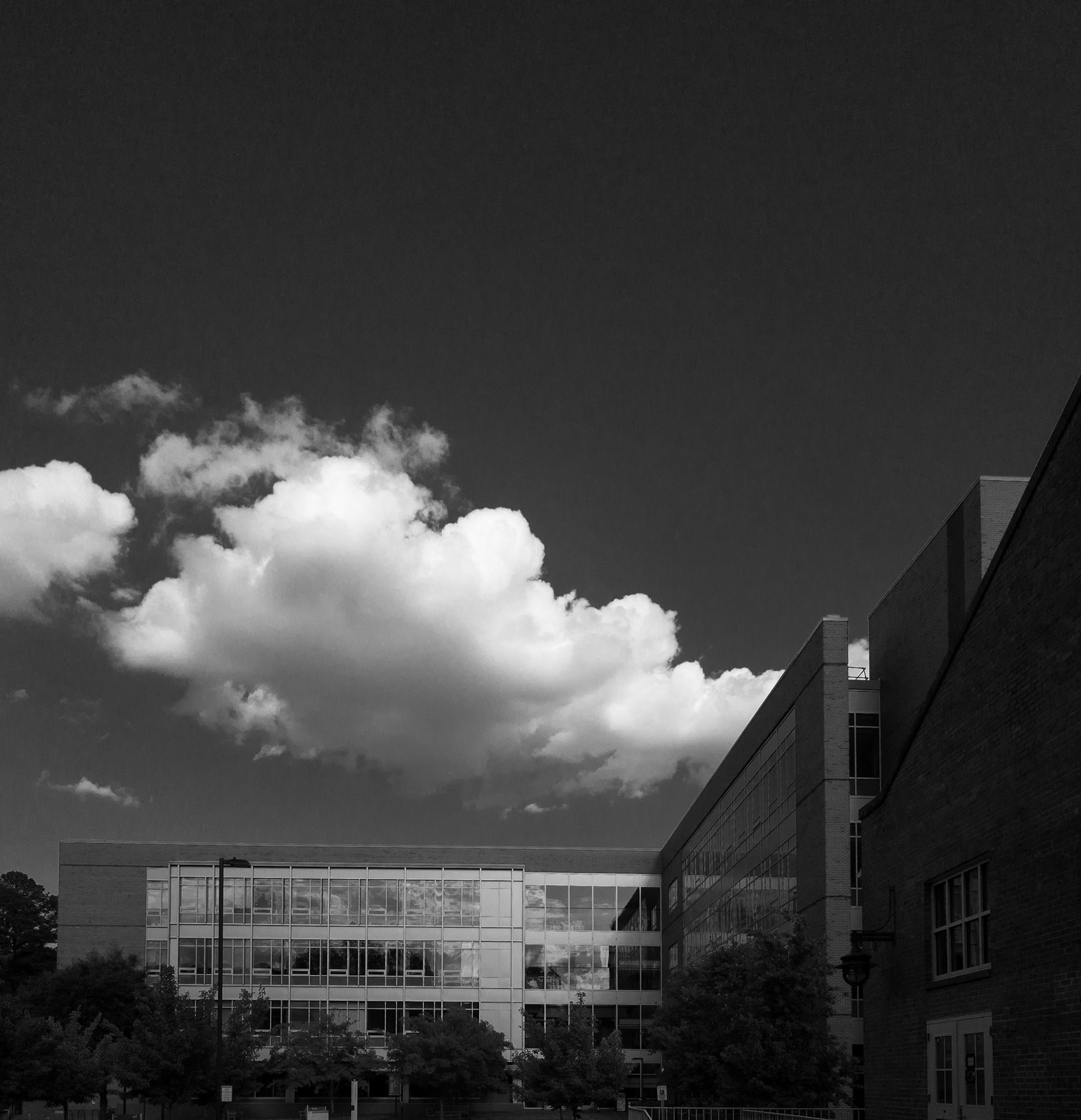 NCSU, Raleigh, NC