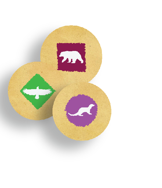 Token Graphics
