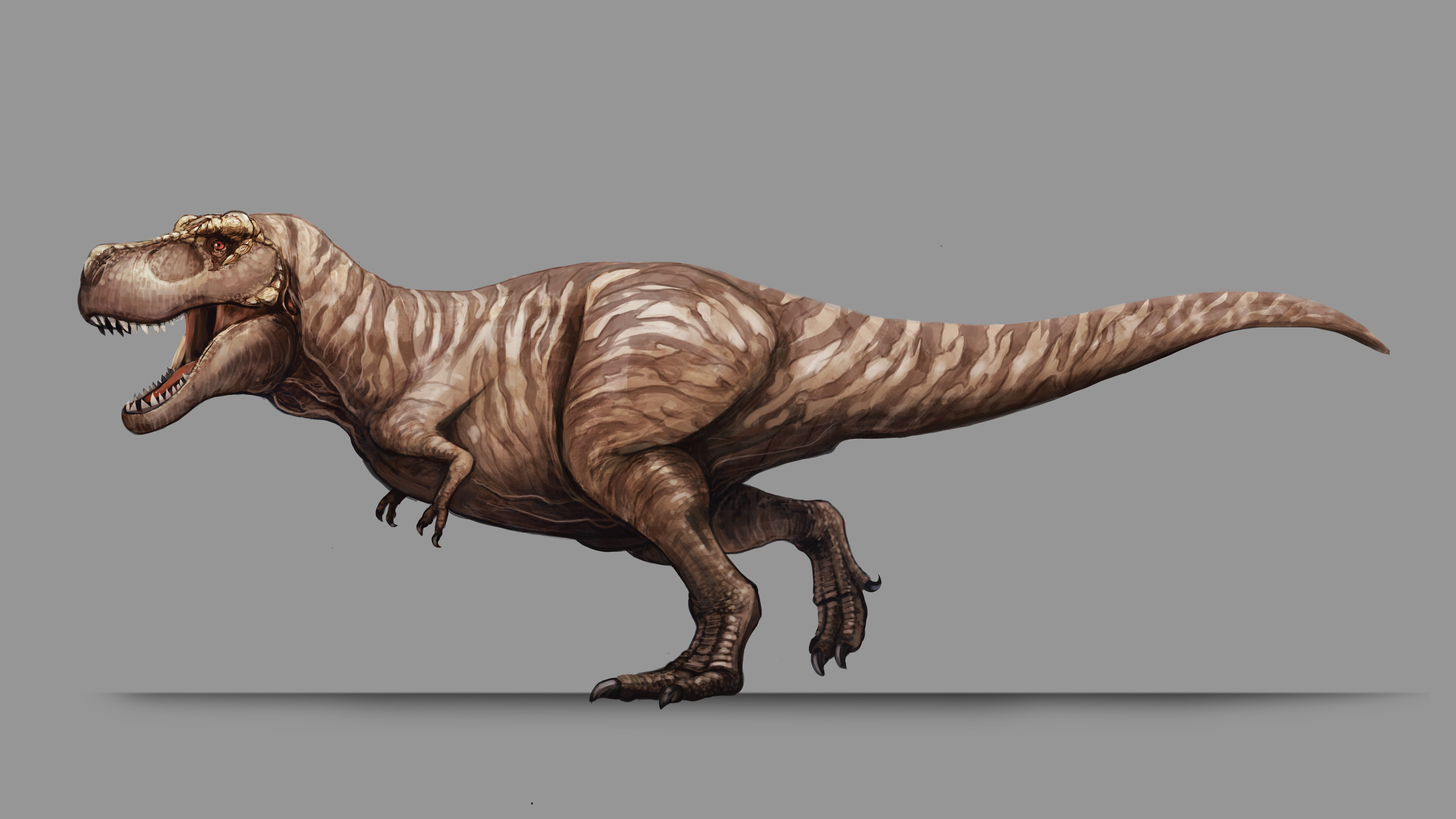 Tyrannosaurus Feathers