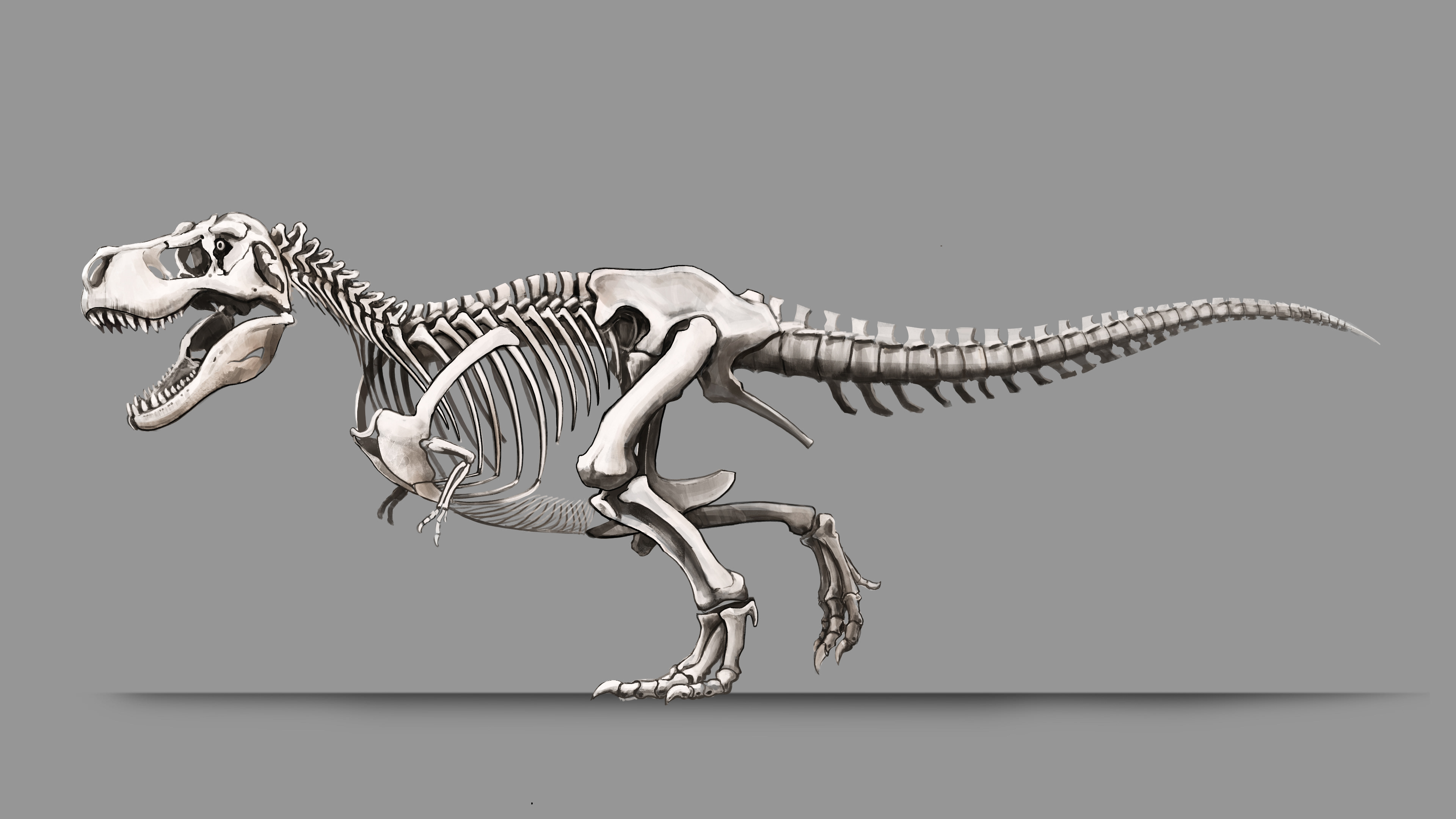 Tyrannosaurus Bone