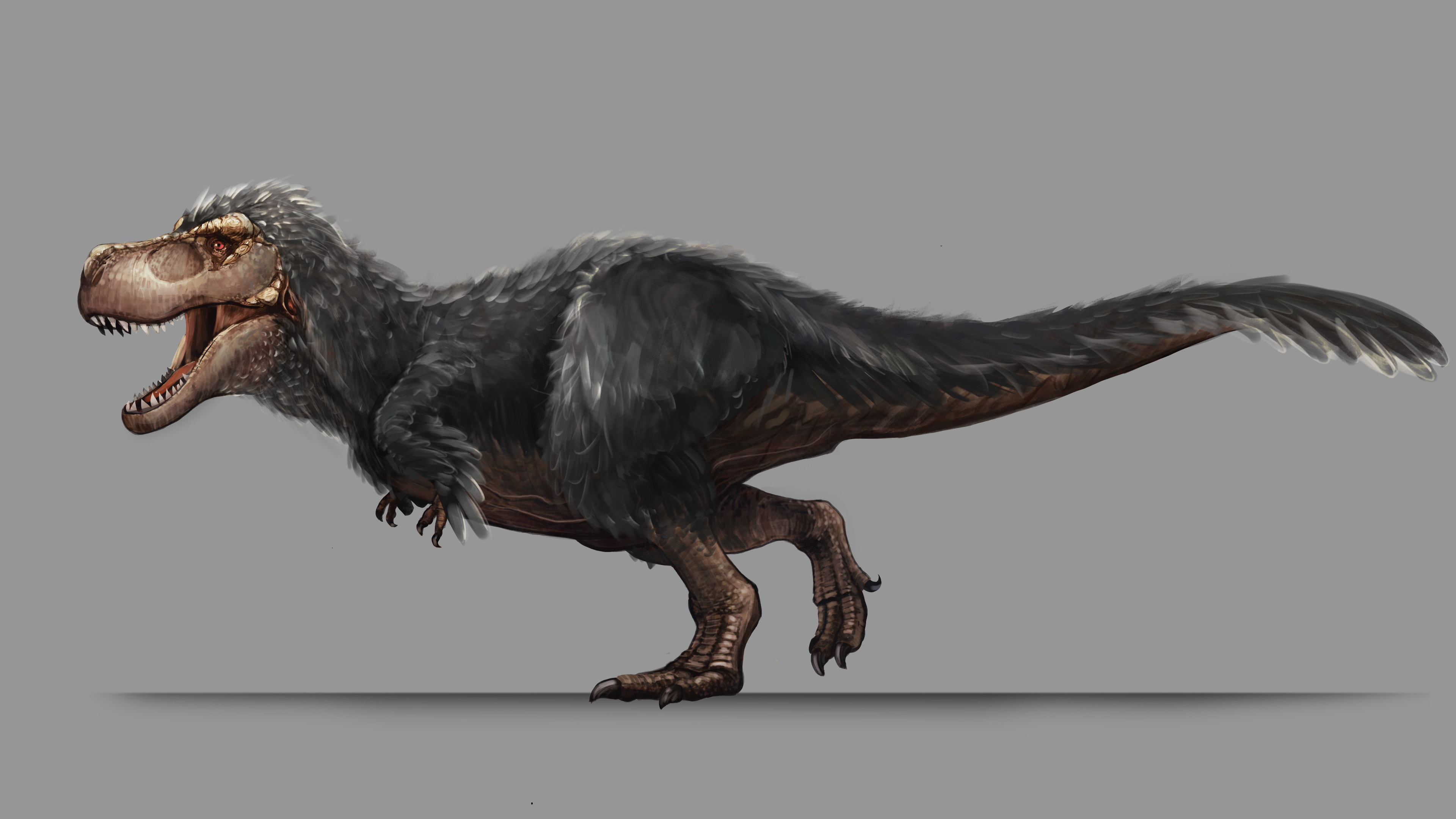 Tyrannosaurus Feathers