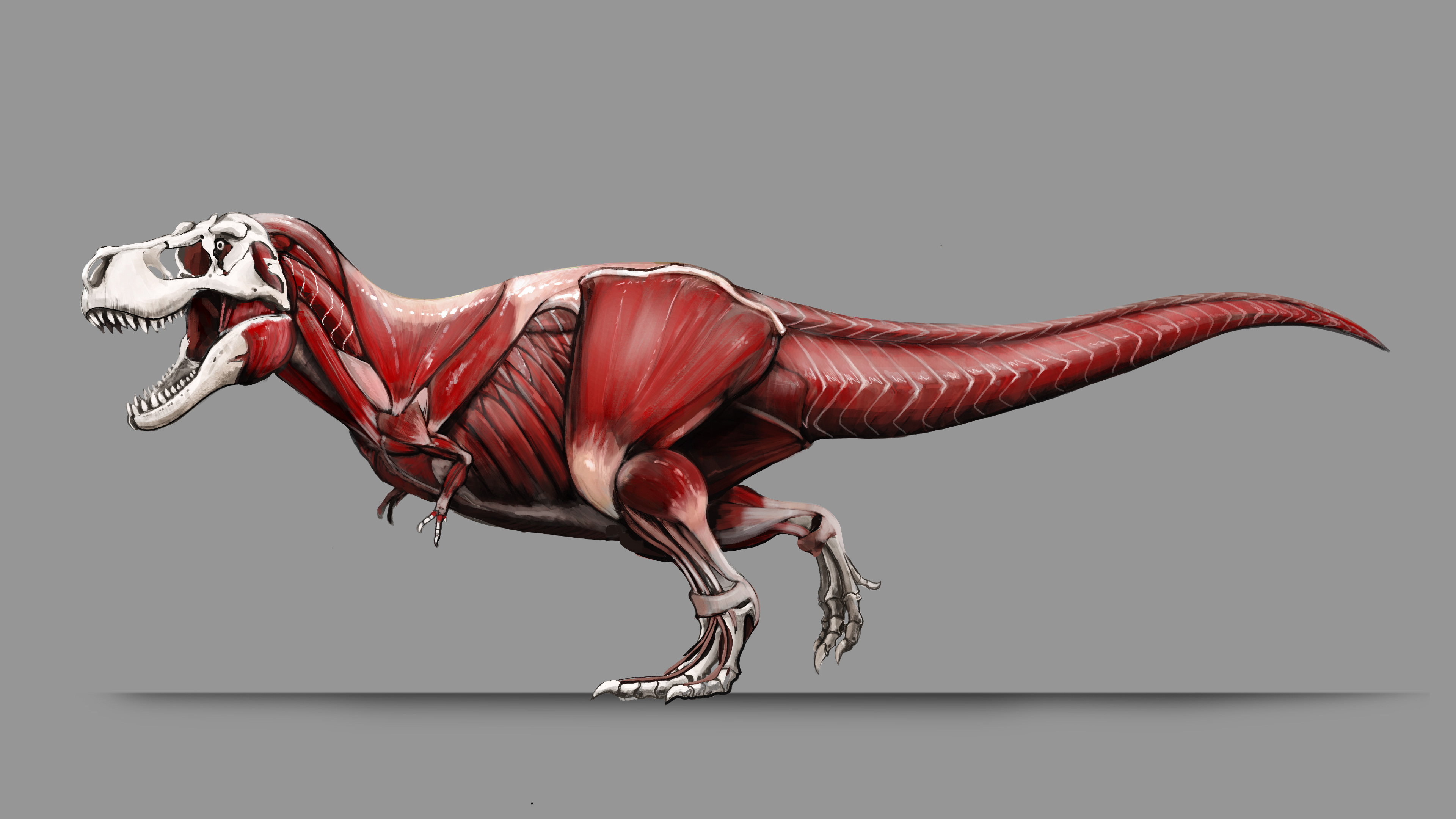 Tyrannosaurus Feathers