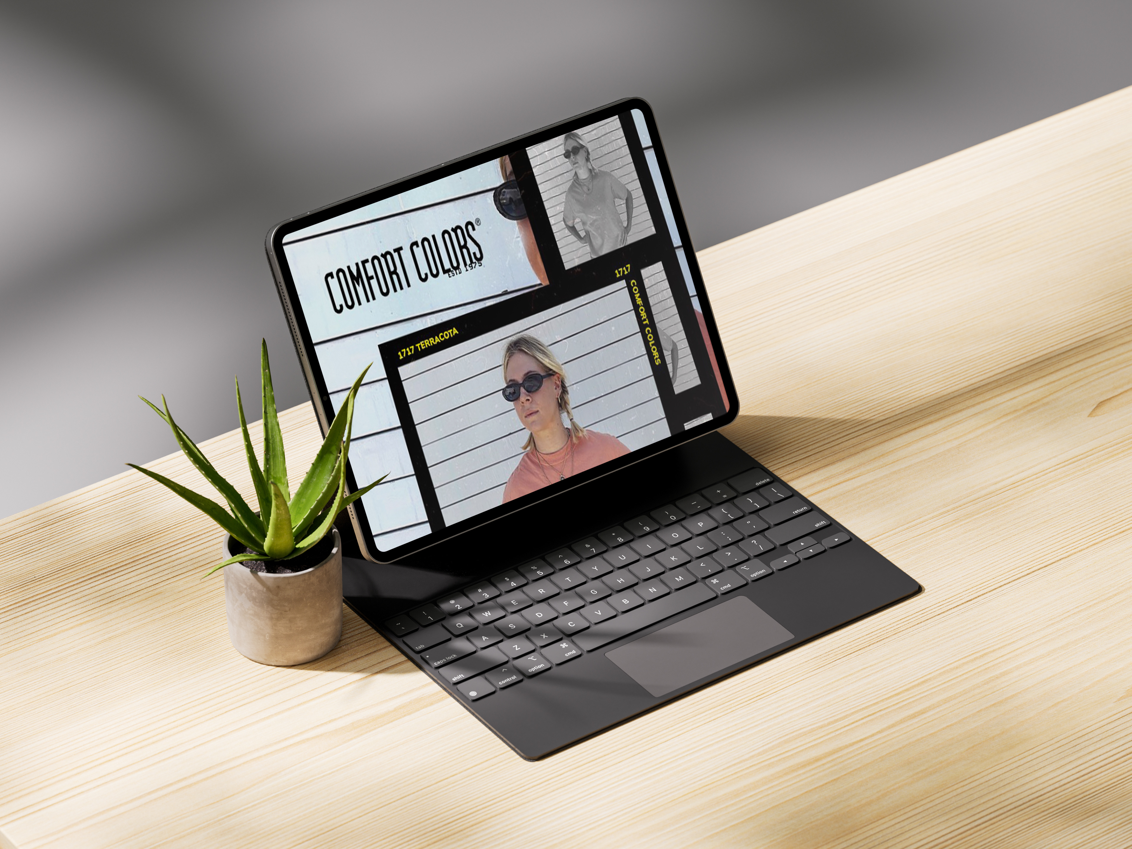 Comfort Colors Nostalgic Email Newsletter