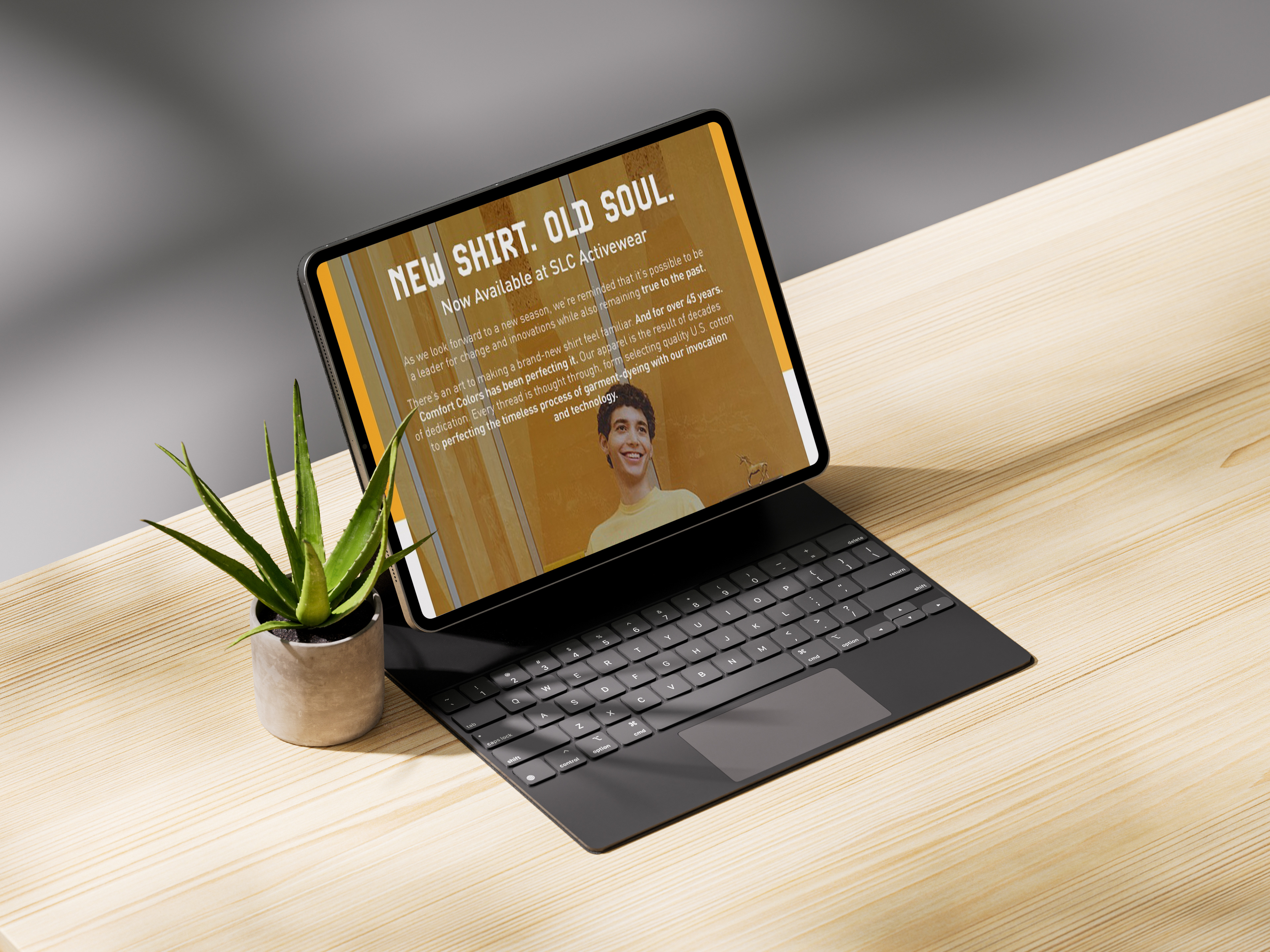 Comfort Colors Email Newsletter