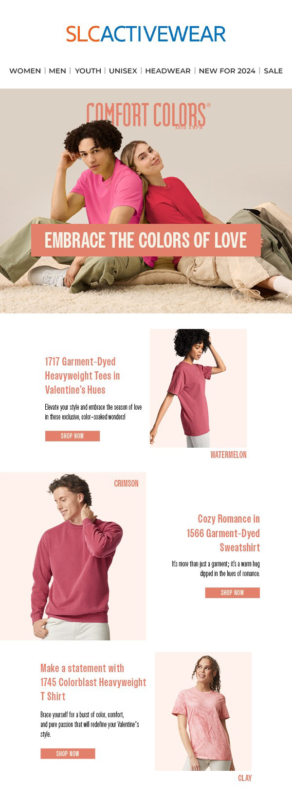 Comfort Colors Valentines Email Newsletter