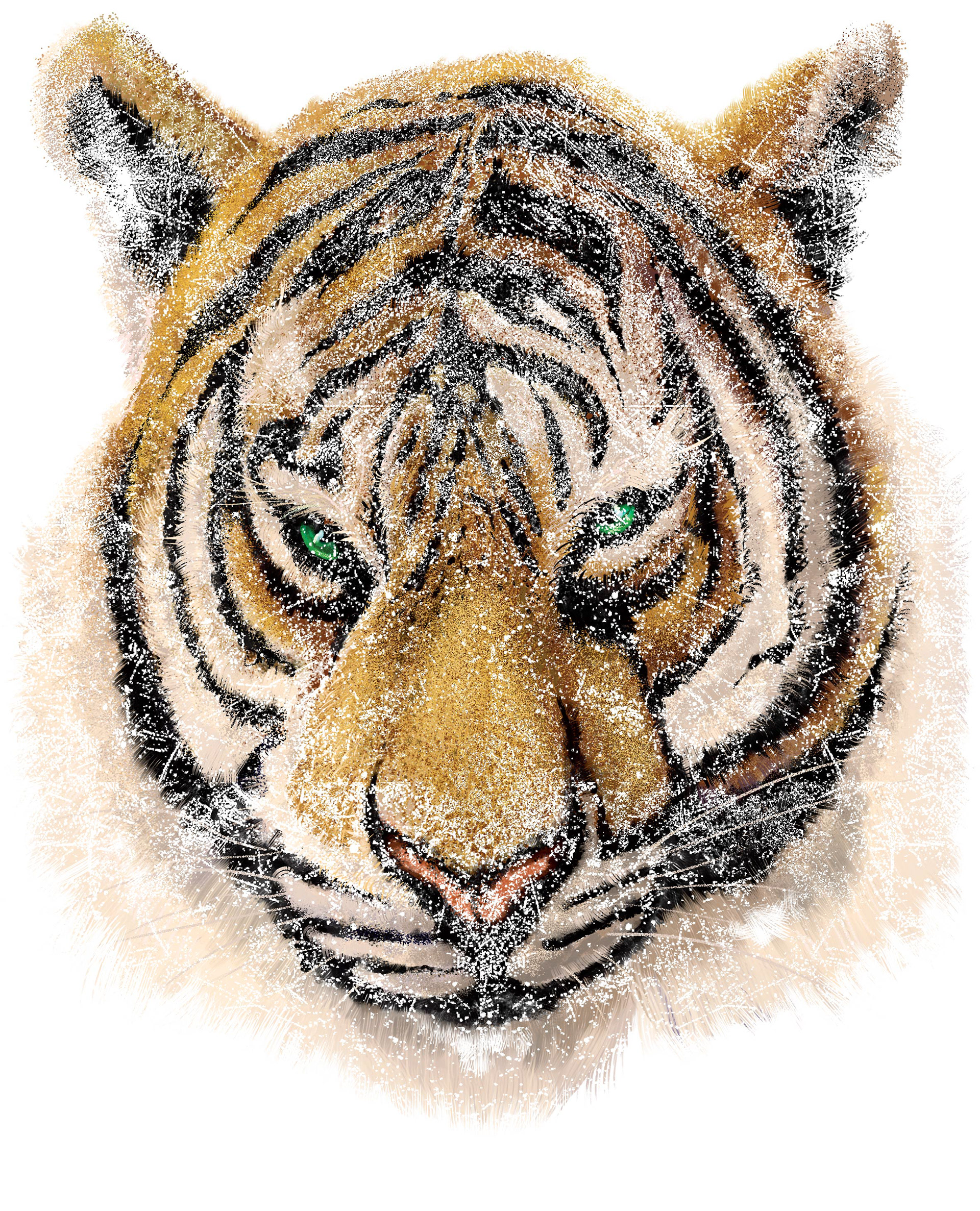 Digital Illustration