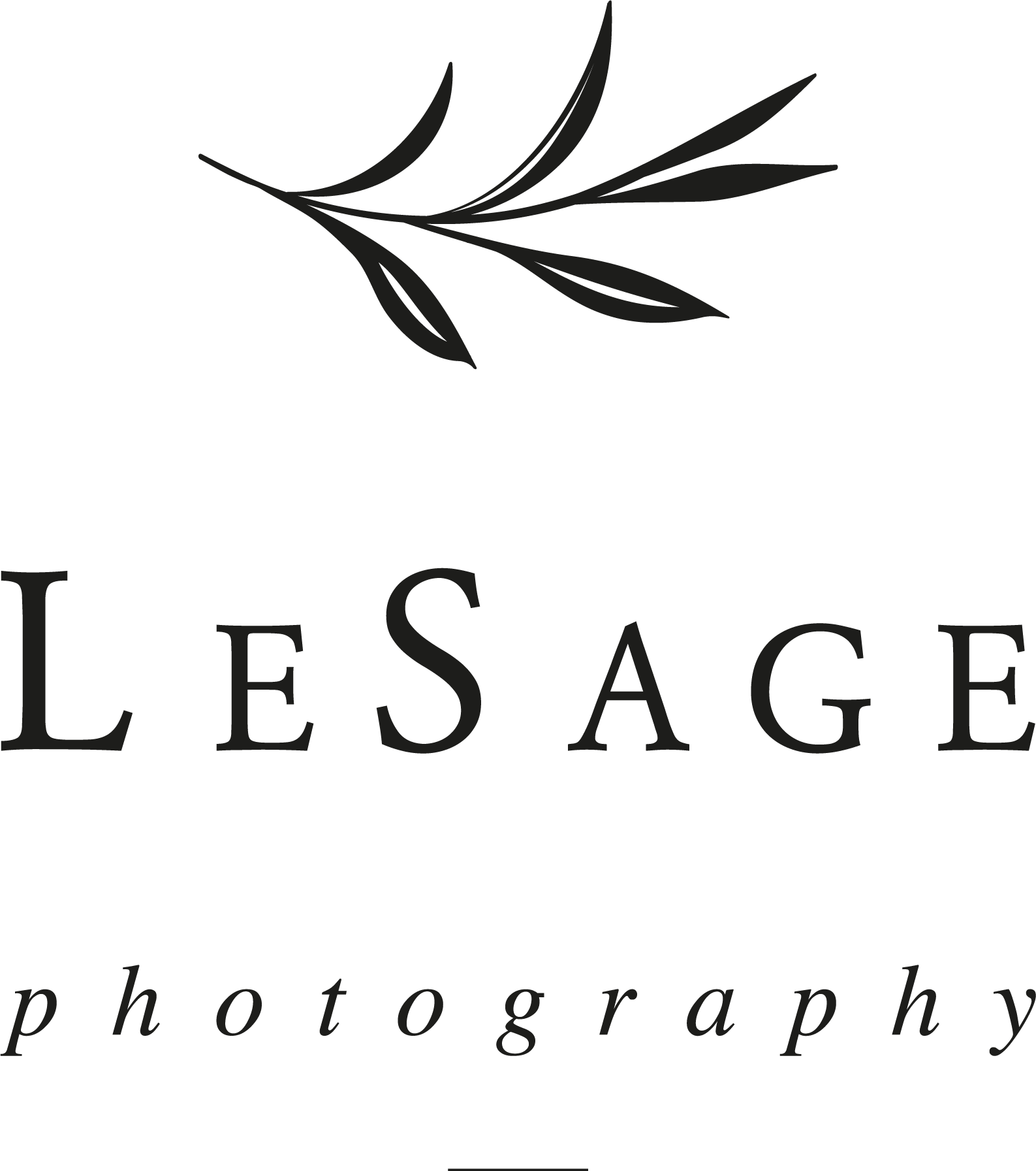 LeSage Photography logo sage branch