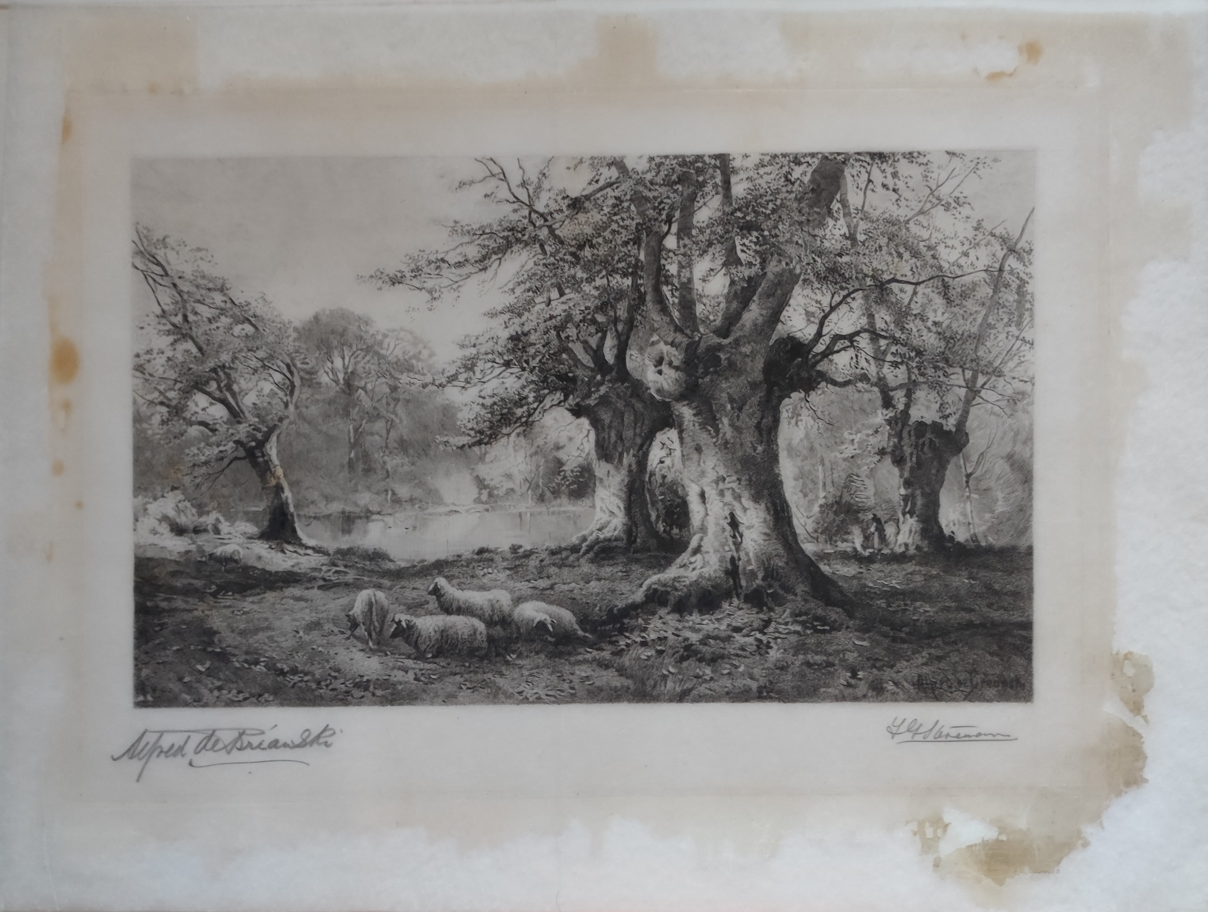 Overall image showing print with secondary support with very thin Japanese paper - image after treatment: The etching after a painting titled Burnham Beeches originally painted by Alfred de Breanski