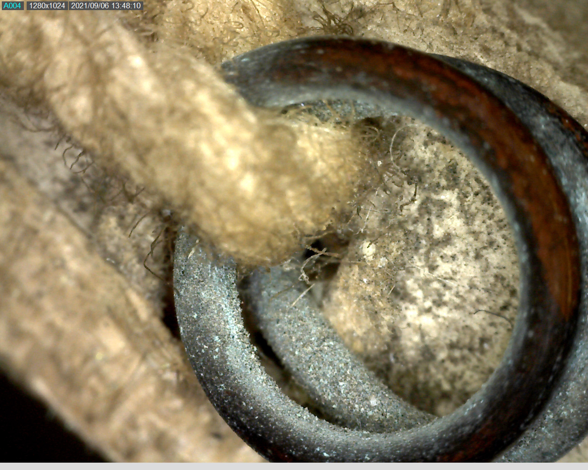 Details of the metal ring and cord(top roller rod) under microscope magnifications