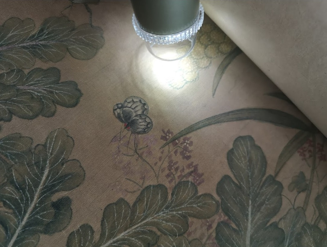 Details of the painting during microscope assessment: A Chinese scroll attributed to Yun Shouping (恽寿平)