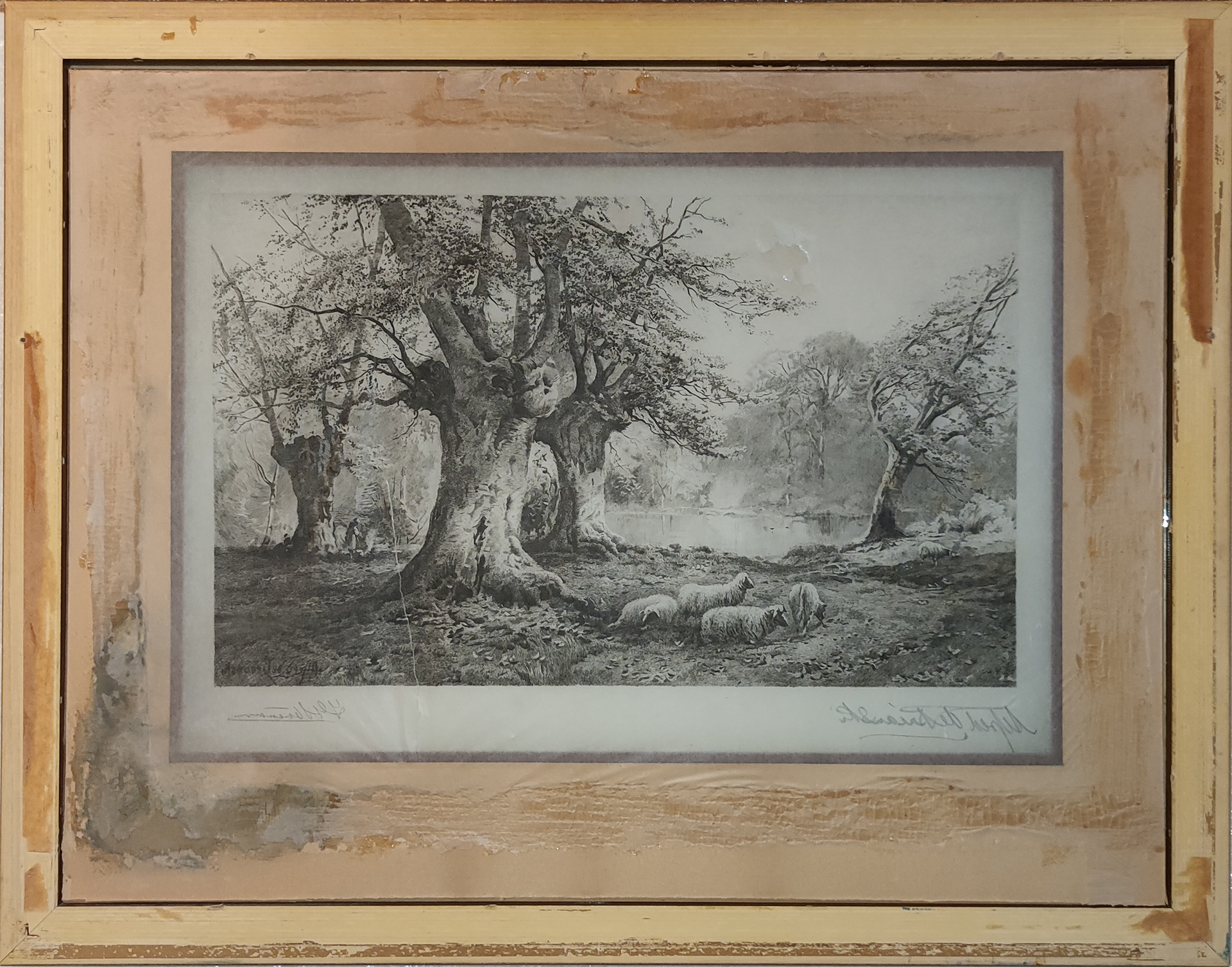 Overview of the print reverse showing condition before conservation: The etching after a painting titled Burnham Beeches originally painted by Alfred de Breanski