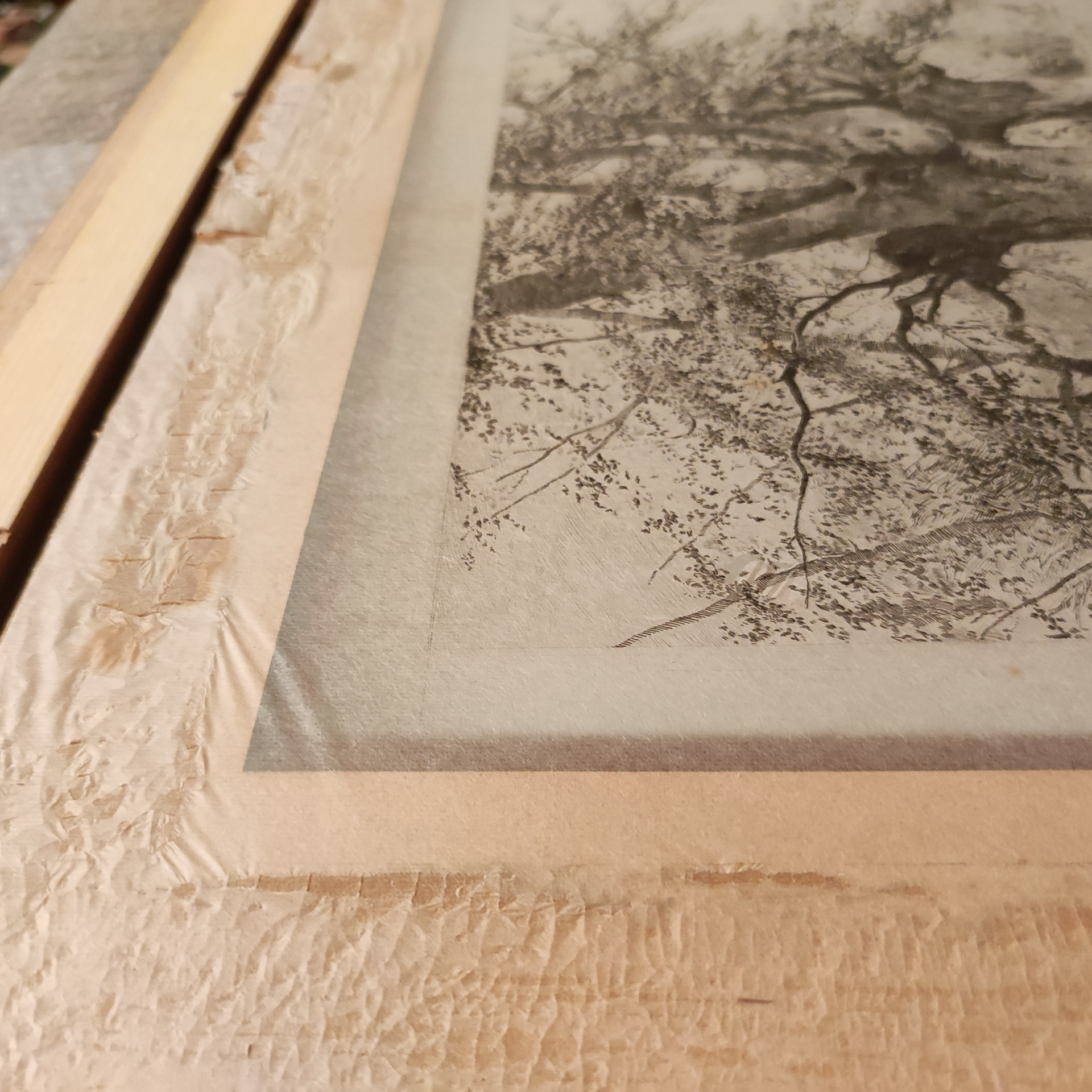 Detail of the thin paper structure affected by dry adhesive penetrated to the paper fibres - image during conservation: The etching after a painting titled Burnham Beeches originally painted by Alfred de Breanski