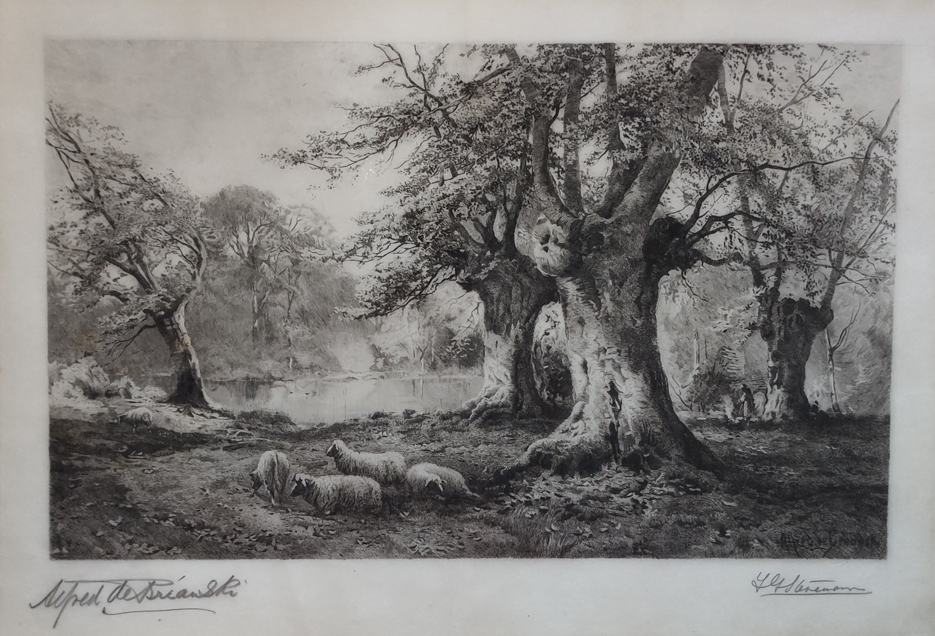 Detail of the print after conservation: The etching after a painting titled Burnham Beeches originally painted by Alfred de Breanski