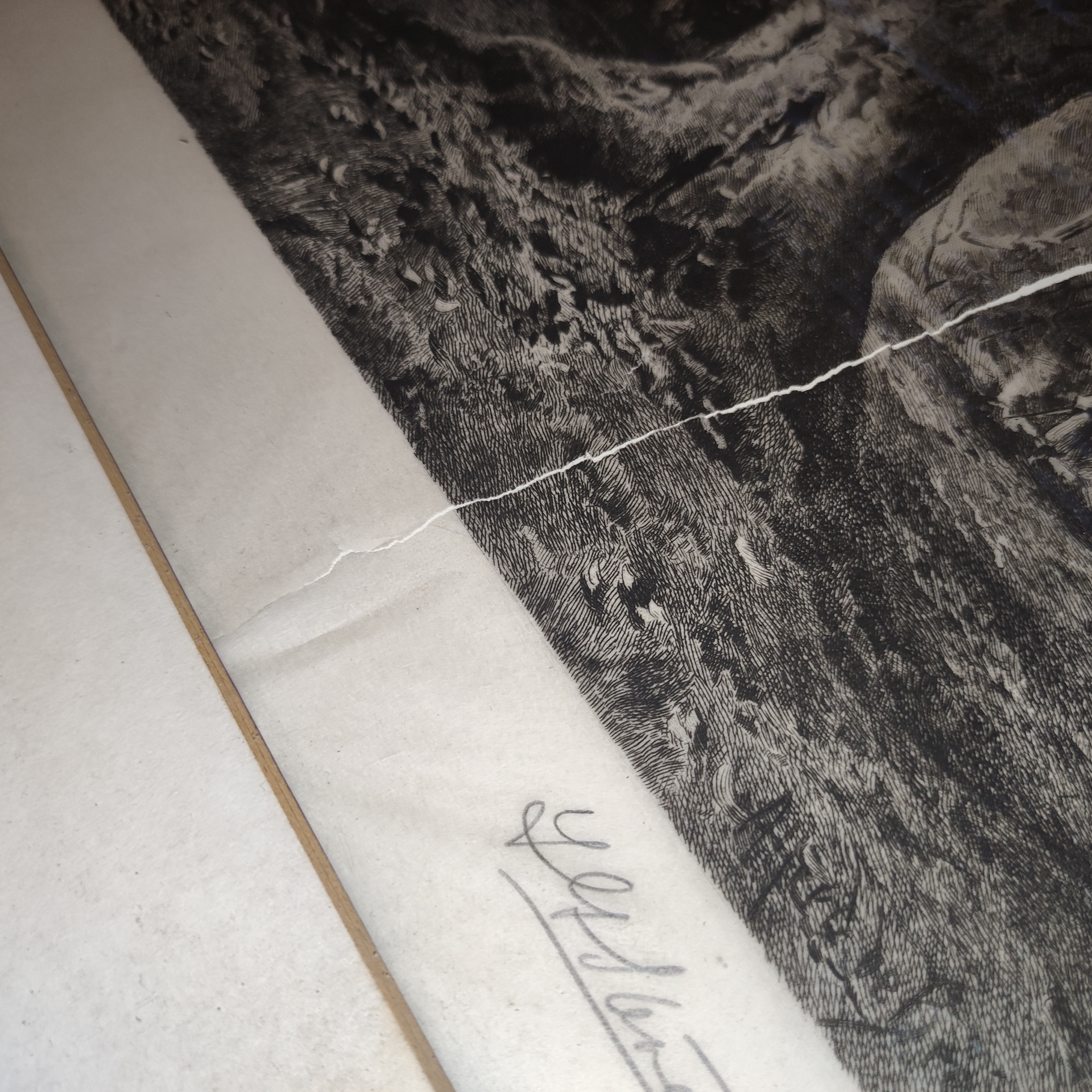 Detail of the signature and a deep crack in the paper - condition before conservation: The etching after a painting titled Burnham Beeches originally painted by Alfred de Breanski