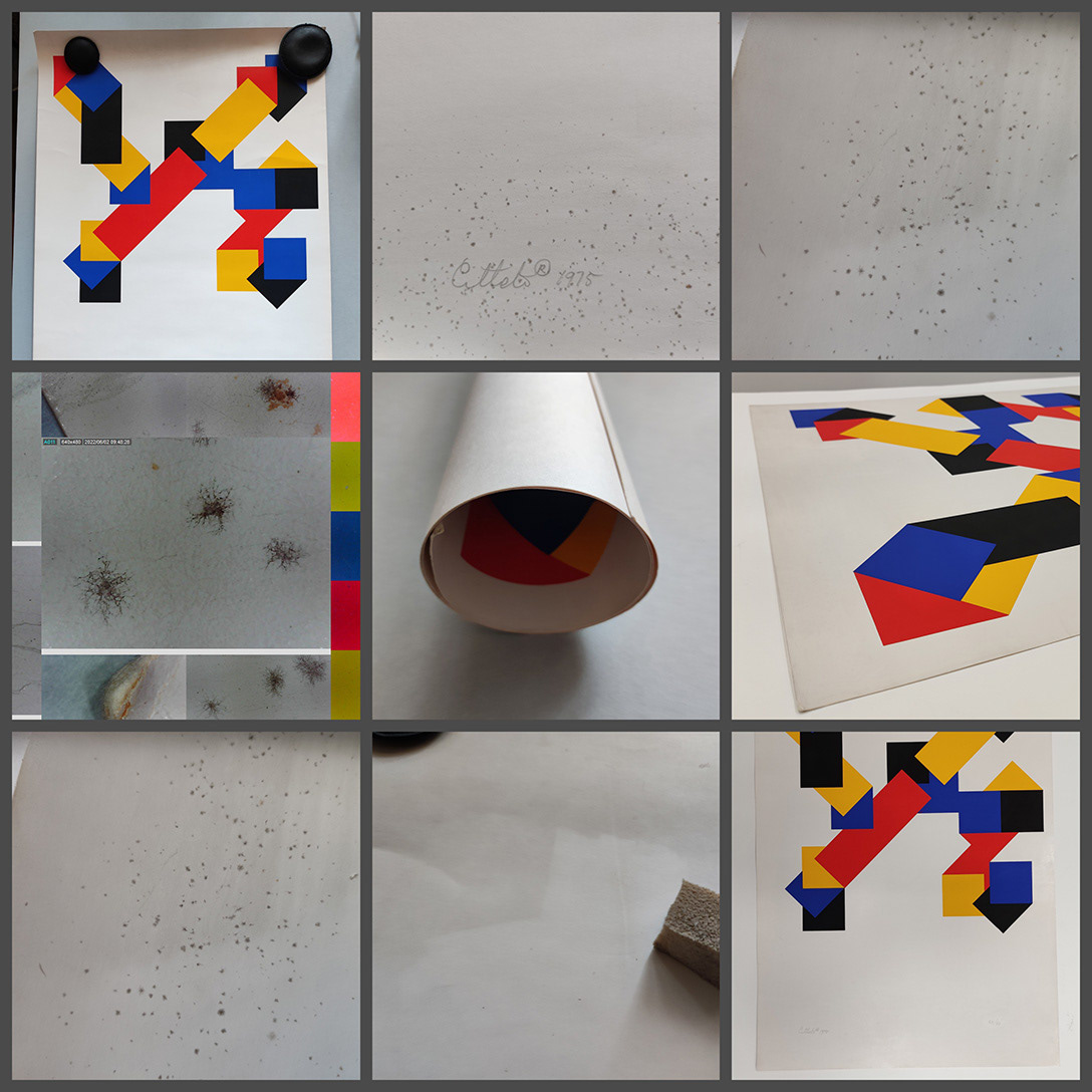 In this example of the artwork, the unknown artist employed heavier lines and geometric forms, using large blocks of colours. His four-color palette, featuring vibrant hues, reflects his early inspiration for "pure minimalistic painting," a term often associated with abstract art. The graphic is printed on pigment-coated paper, which offers a smooth, white surface for the coloured paint. This paper is coated with a thin layer comprising a mixture of white mineral pigments (typically barium and kaolin sulphate) and glue or varnish. This coating is characterized by its smoothness and reduced water absorption. The graphic was in relatively stable condition; however, the paper's surface has been affected by previous incorrect storage conditions and methods. The coated paper was rolled in a high-humidity environment, causing the paper to become distorted and curled. When the paper subsequently dried, it lost moisture rapidly, resulting in stiffness and cracks on the pigment-coated layer. This was typical damage for coated papers, including creases, cracks, and abrasions on the top surface, is evident. The top layer, coated with pigment, blocked the paper's structure, which occurs when moisture trapped within the paper softens the coating binder. Additionally, there are signs of damage from moulds and insects. The insect damage pattern indicates silverfish damage, as they are particularly attracted to glazed paper finishes. In the collage of images, you can observe the artwork's paper condition both before and after conservation treatment, as well as damage to the top paper layer structure under microscope magnification.