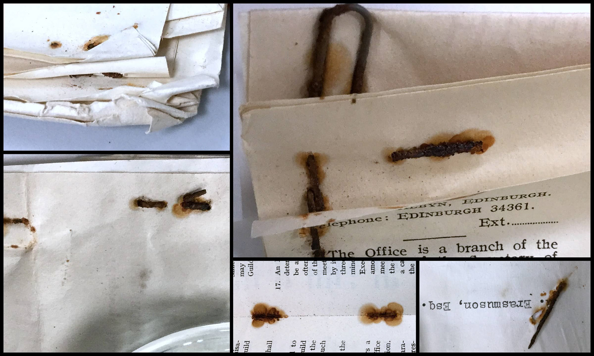 Rusted pins and paperclips before removal.