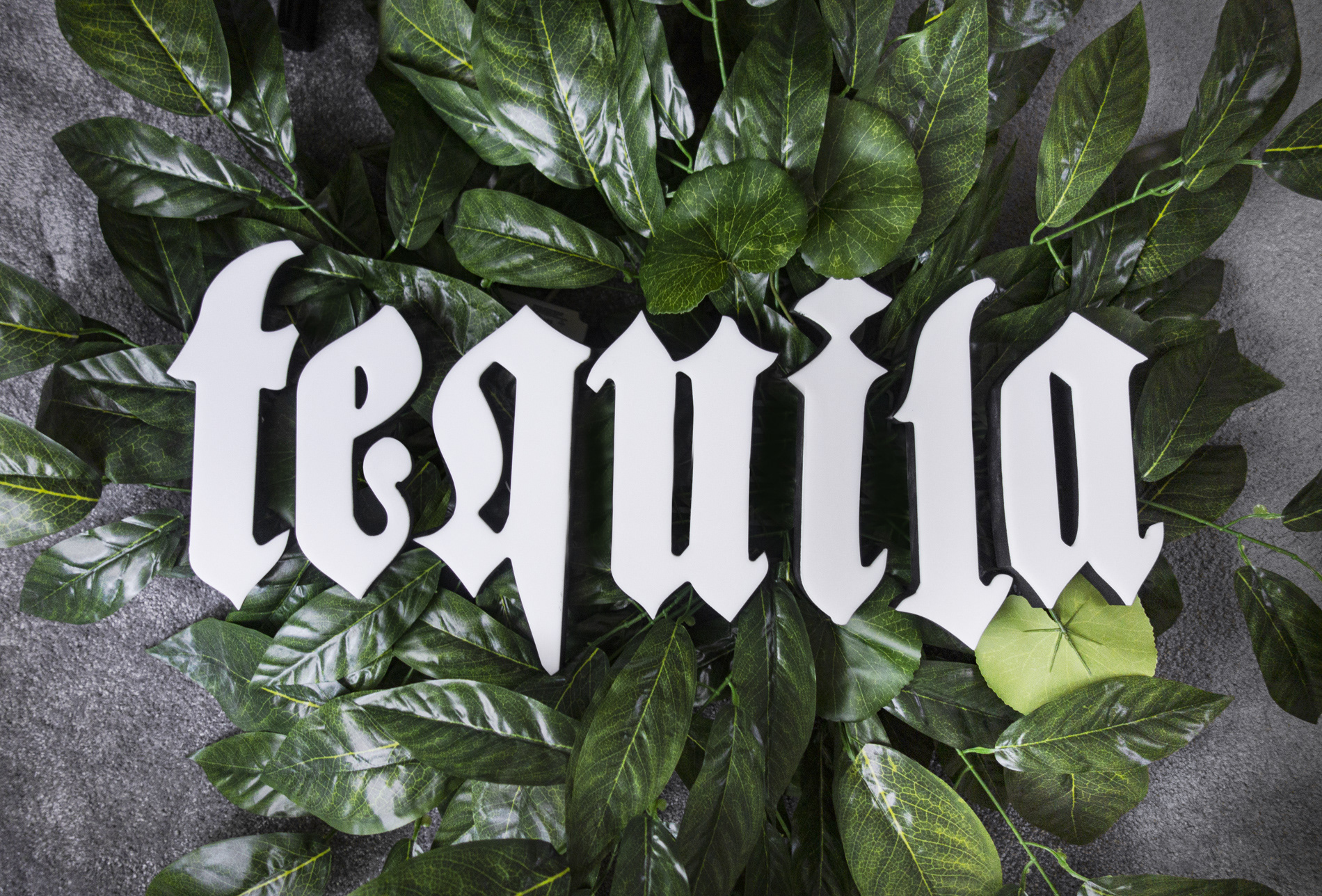 ledon z białym licem - podświetlany na czerwono