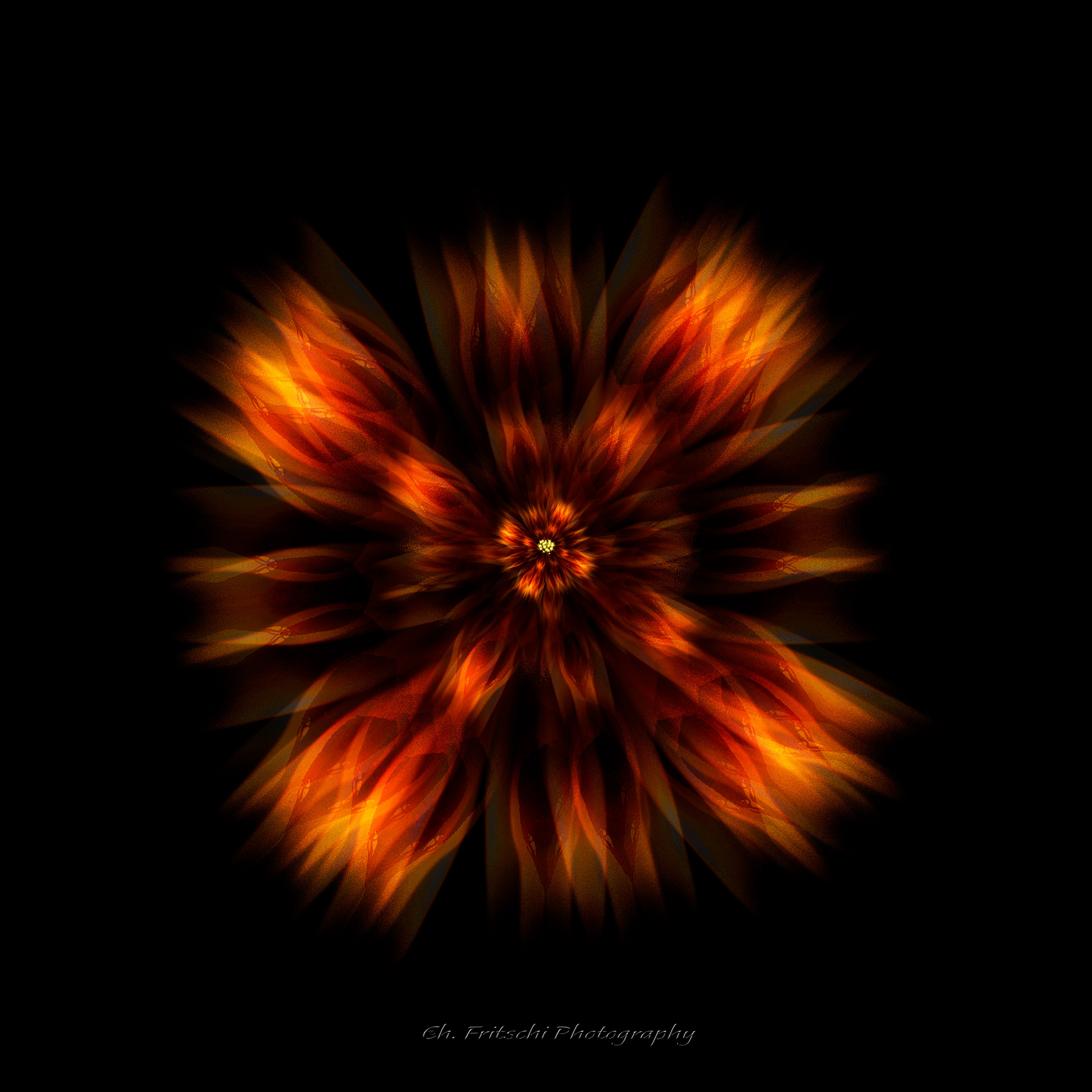 Fractal Flower