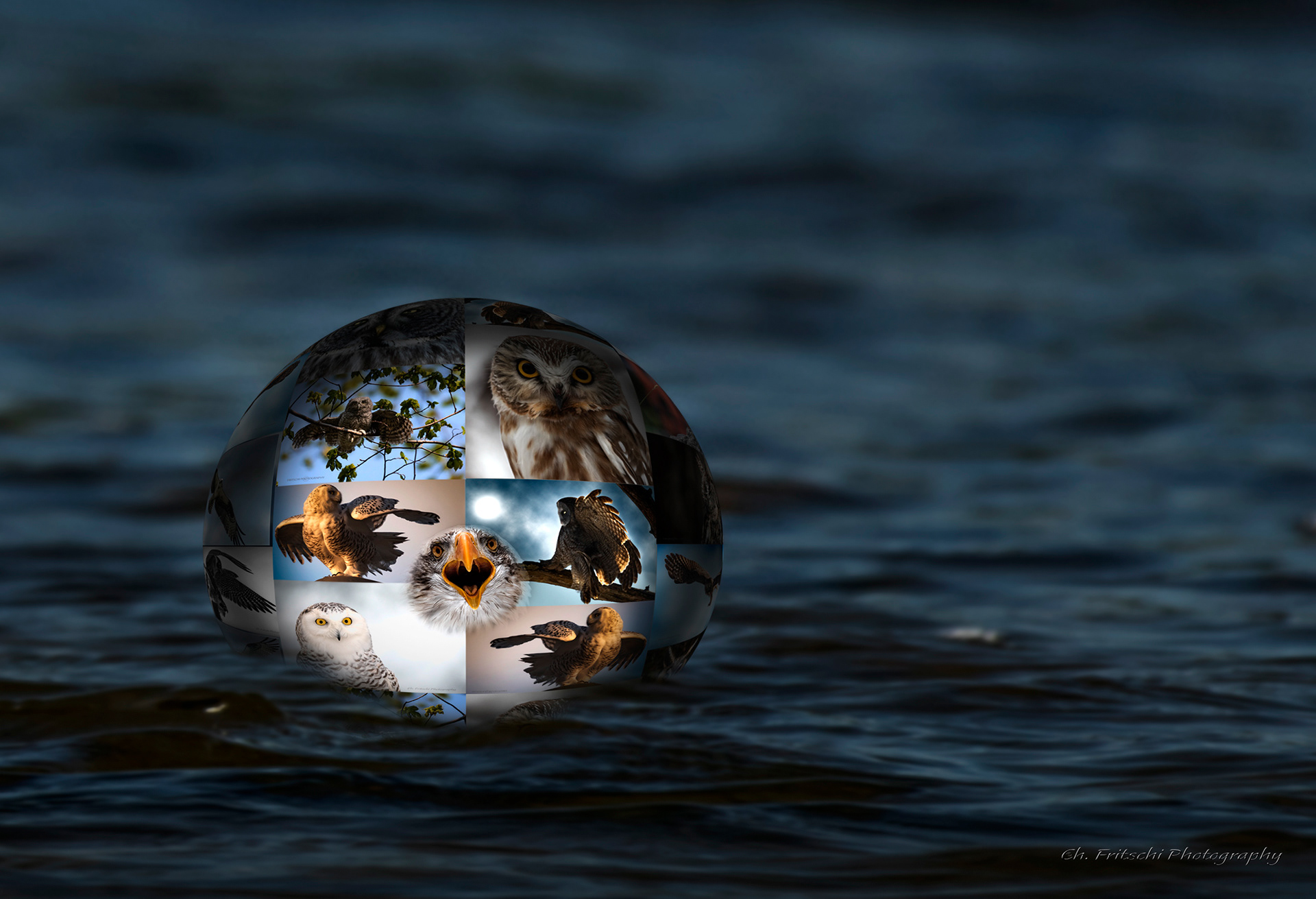 The Raptor Sphere adrift.