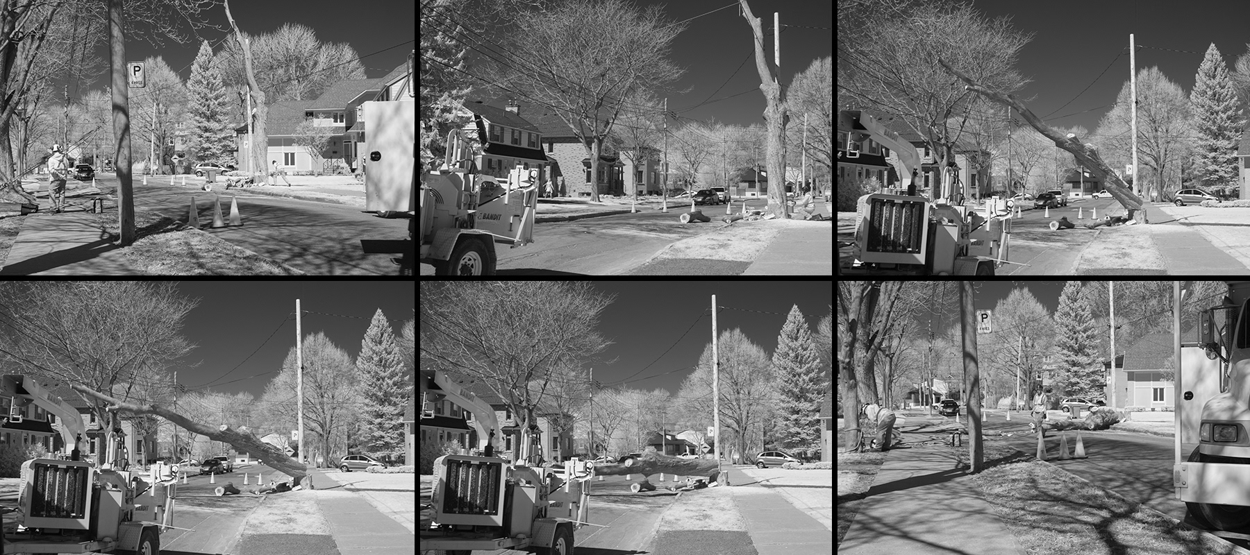 Felling trees in IR