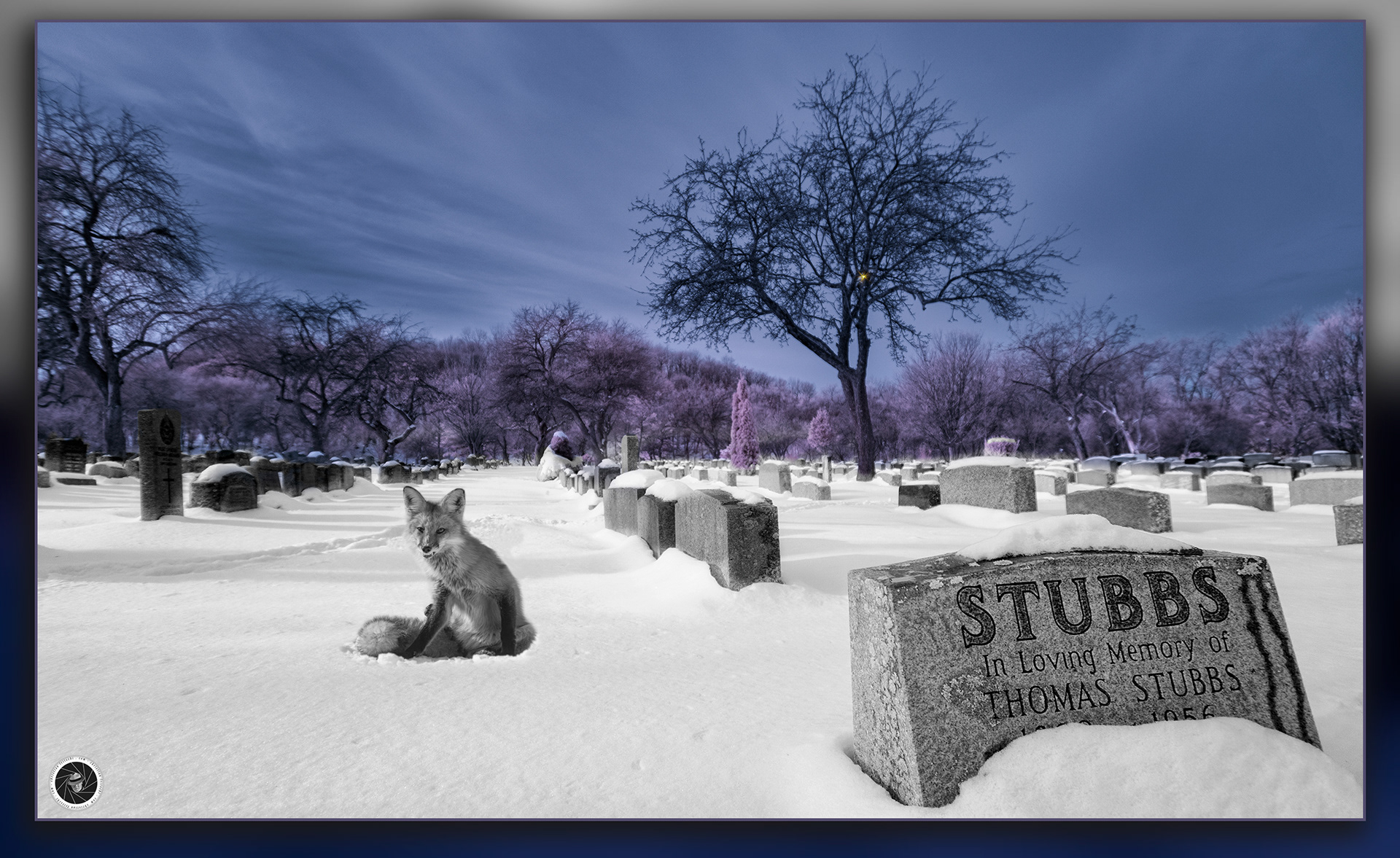 Mount-Royal Cemetery, Montreal