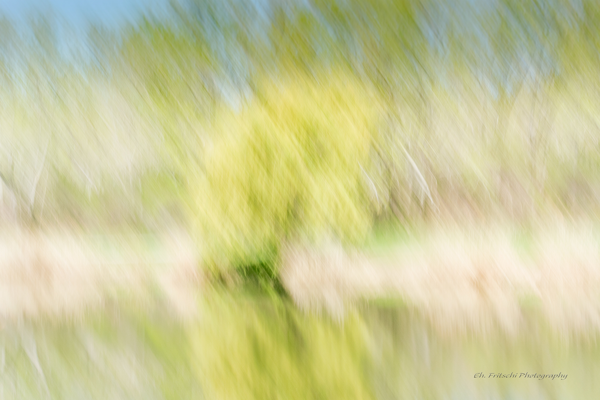 Angrignon Park, Montreal