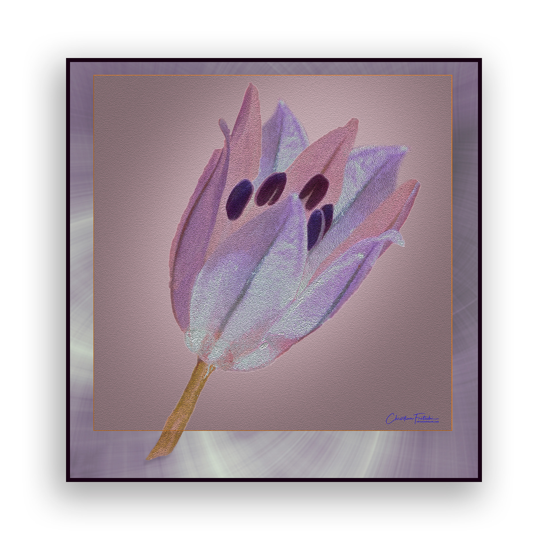 Floret