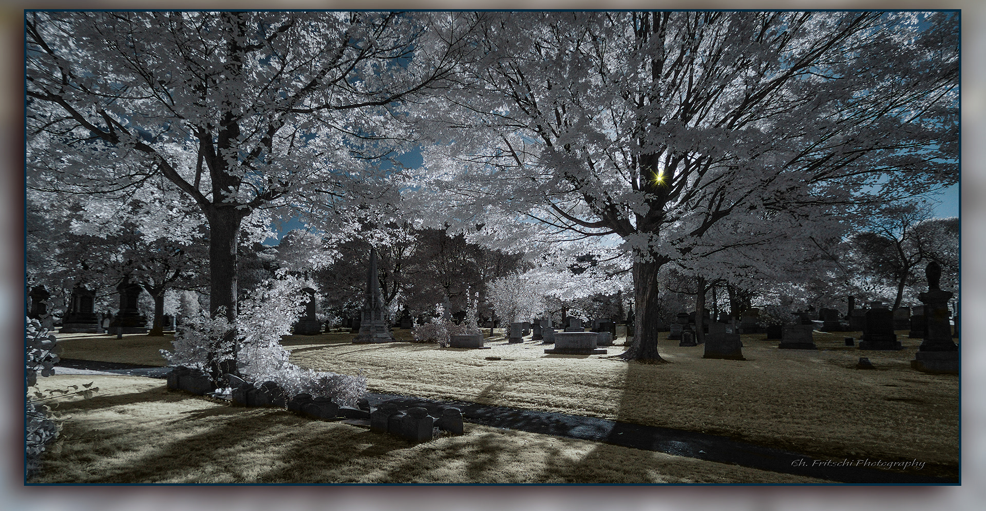 Mount-Royal Cemetery, Montreal