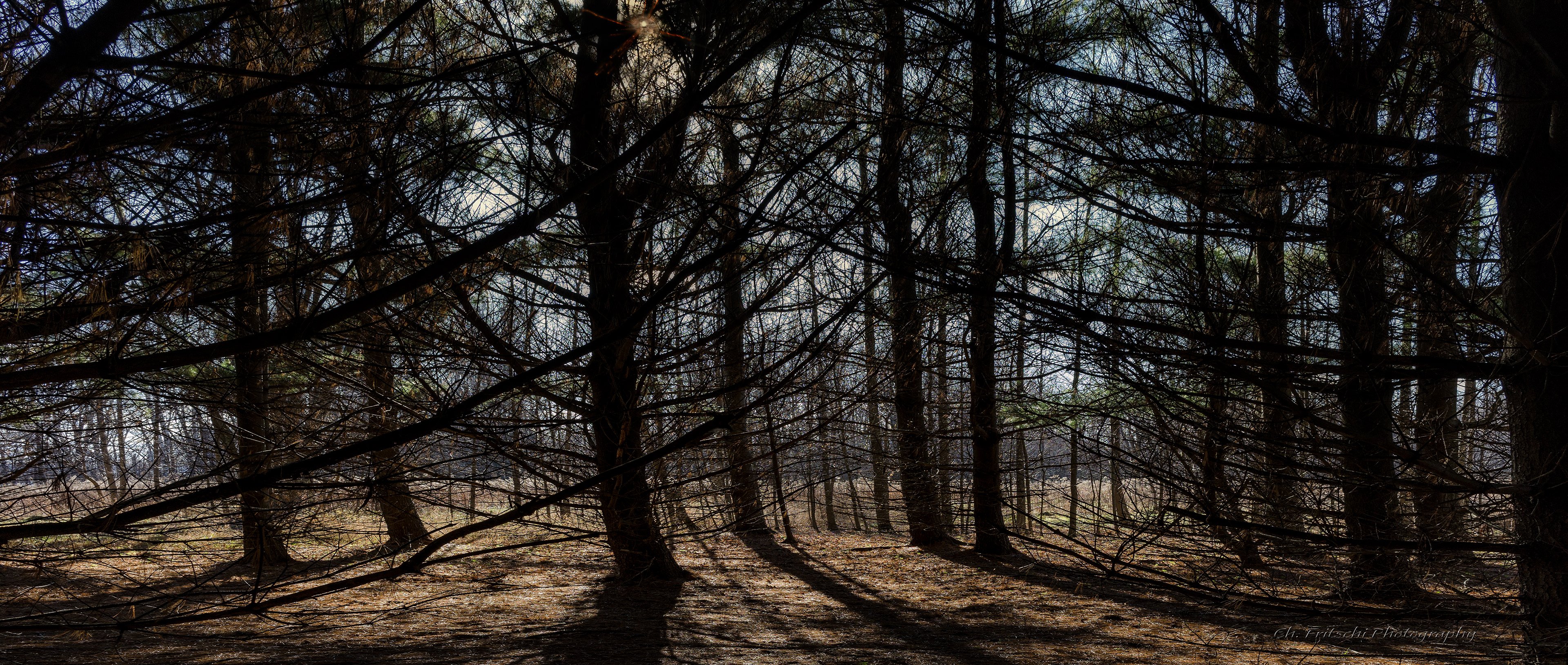 Iles de Boucherville