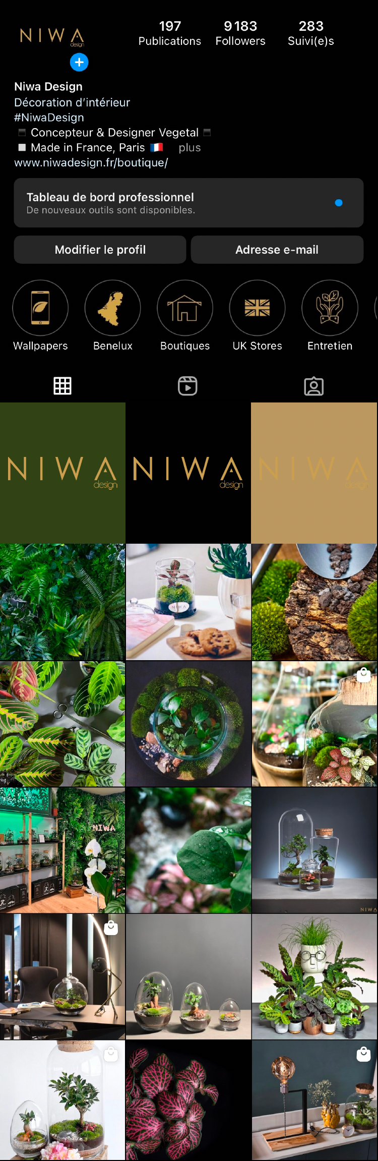 Feed Instagram Niwa Design