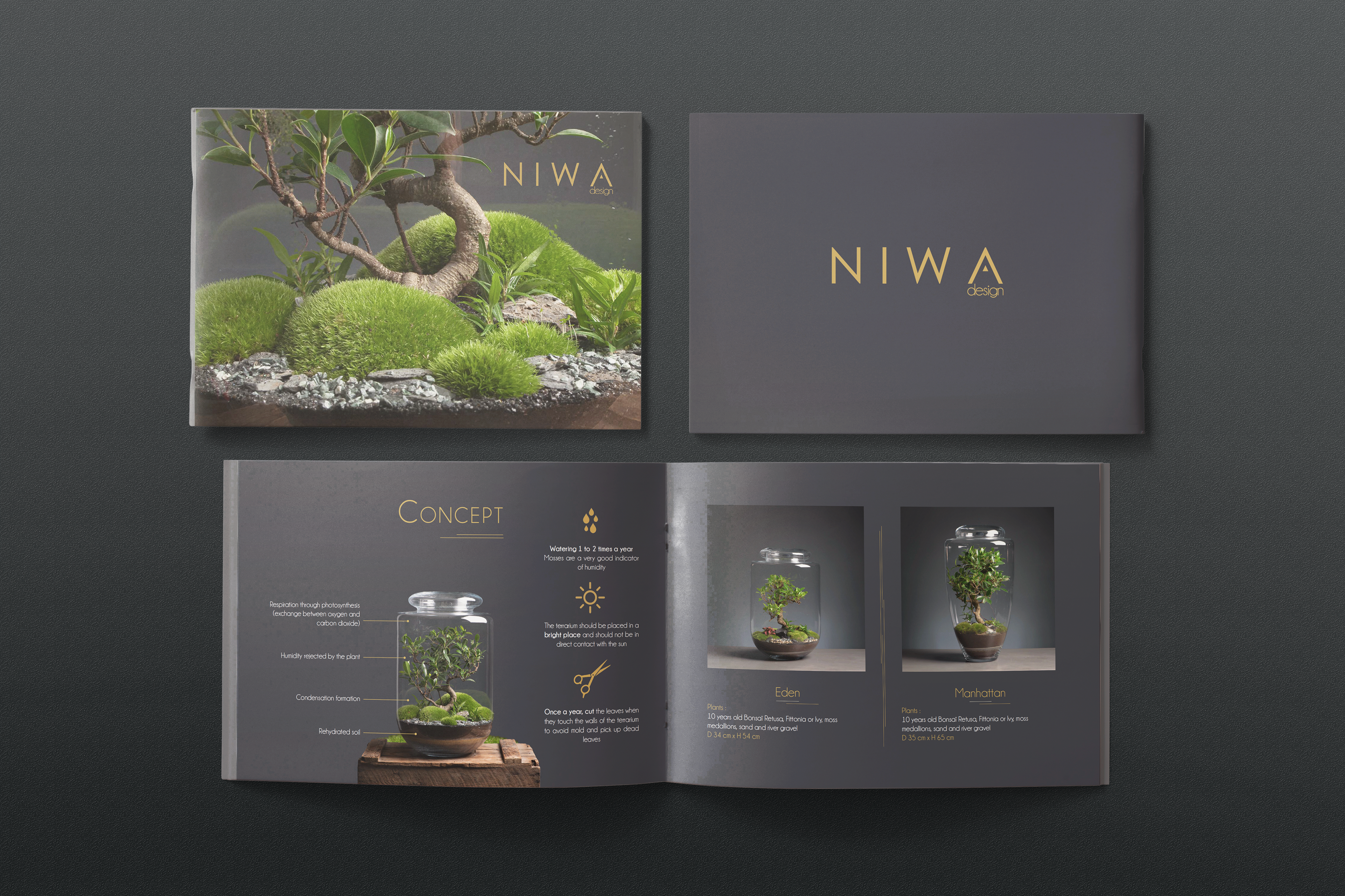 Brochure pour "Niwa Design"