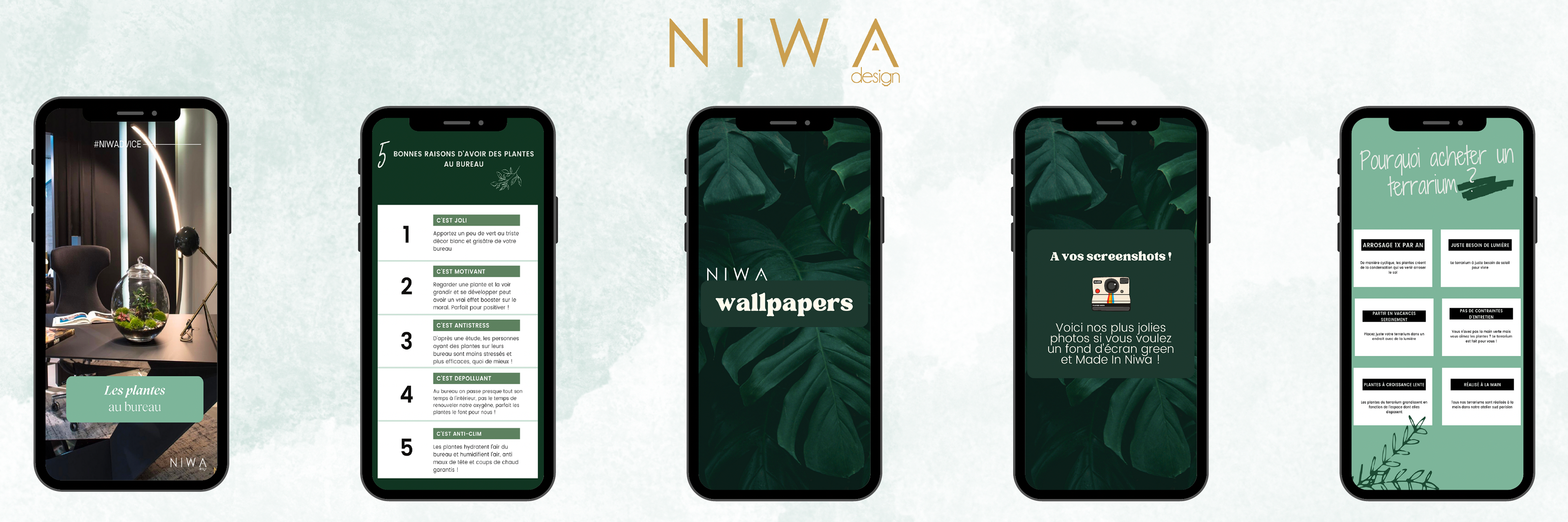 Templates story Instagram Niwa Design