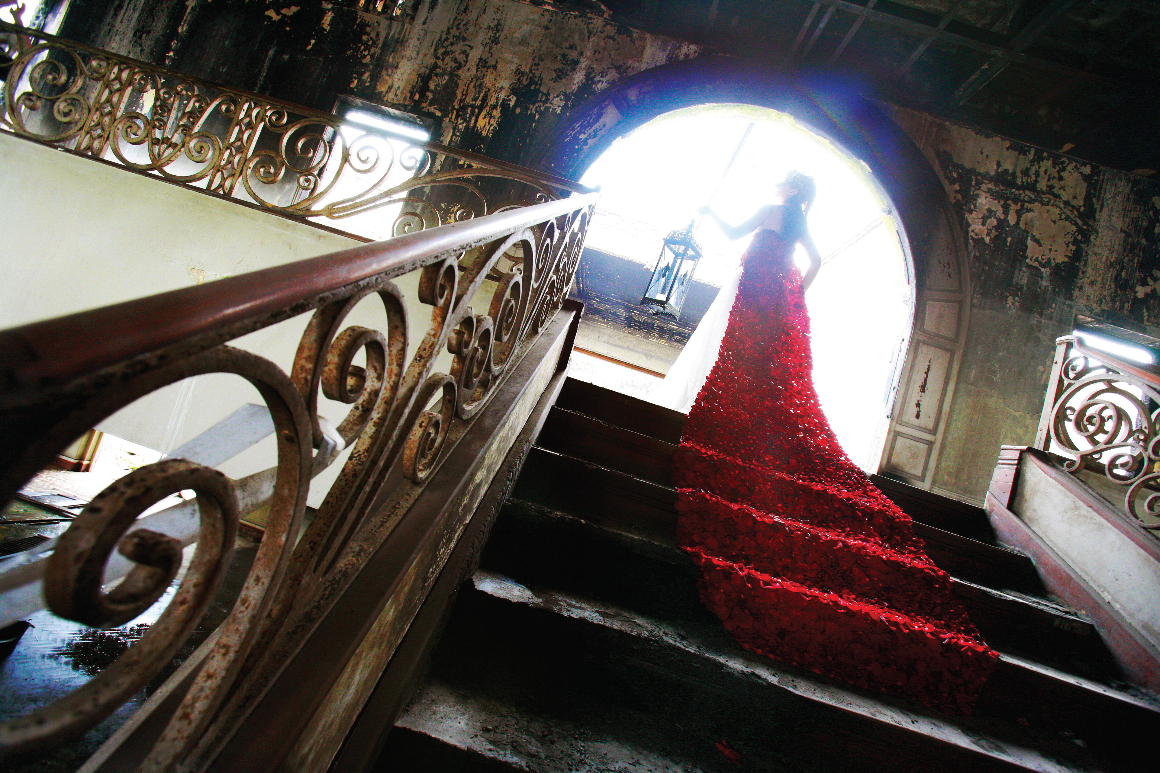 "Stairway to Heaven" Silver Leaf Award, International Floral Art 10/11, Belgium