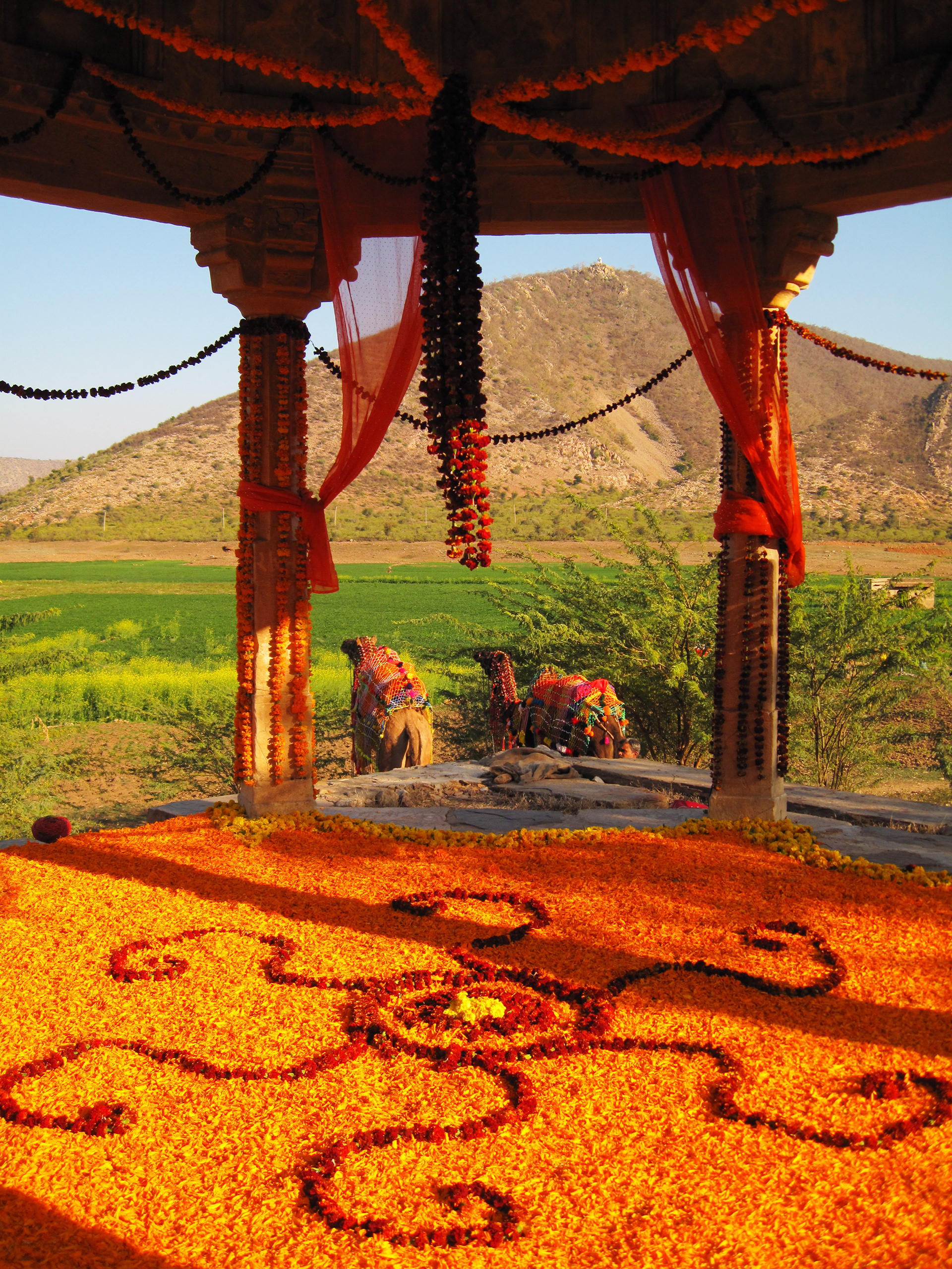 "Maharaja Wedding" - Rajasthan, India