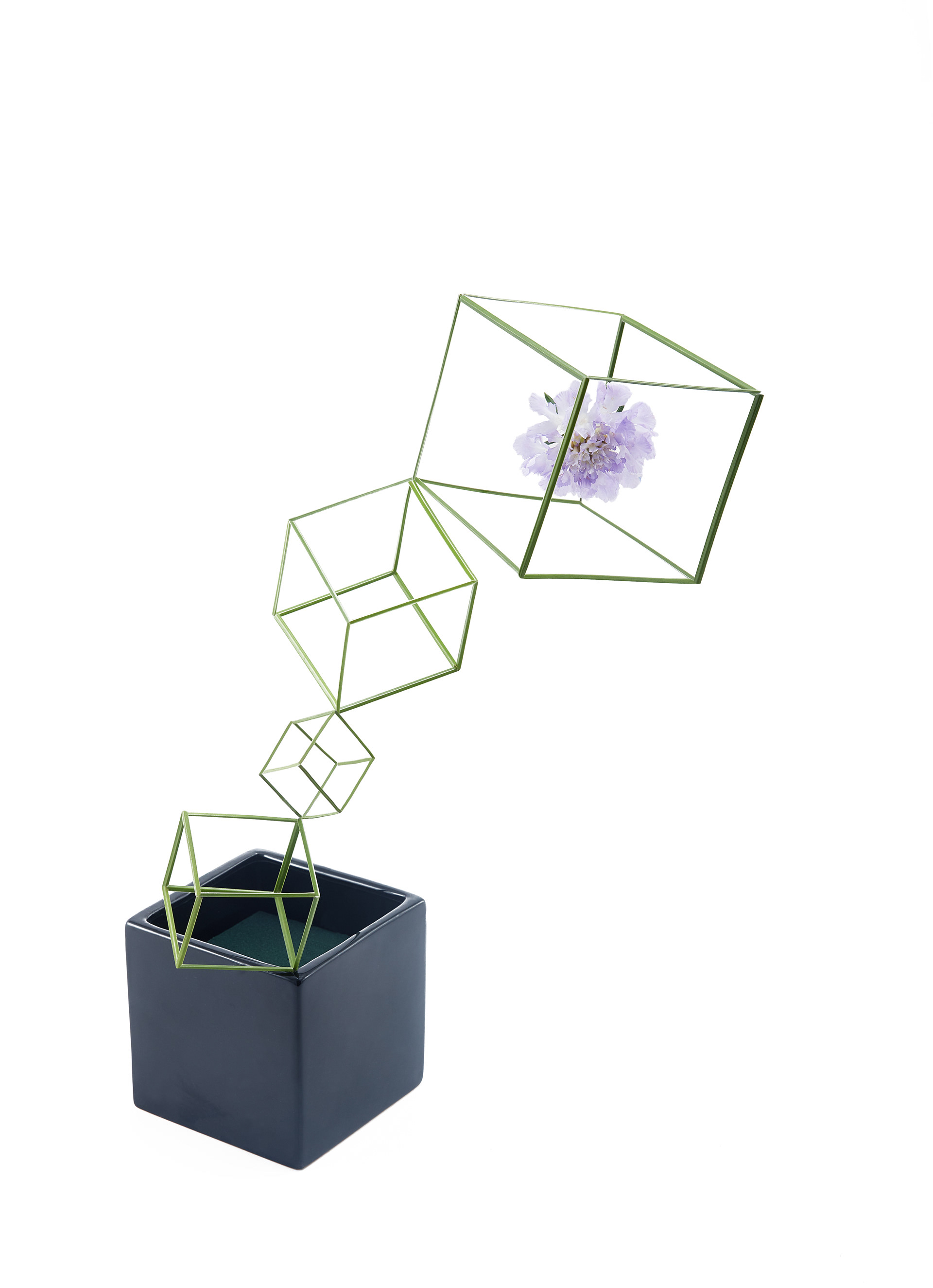 our of the cube