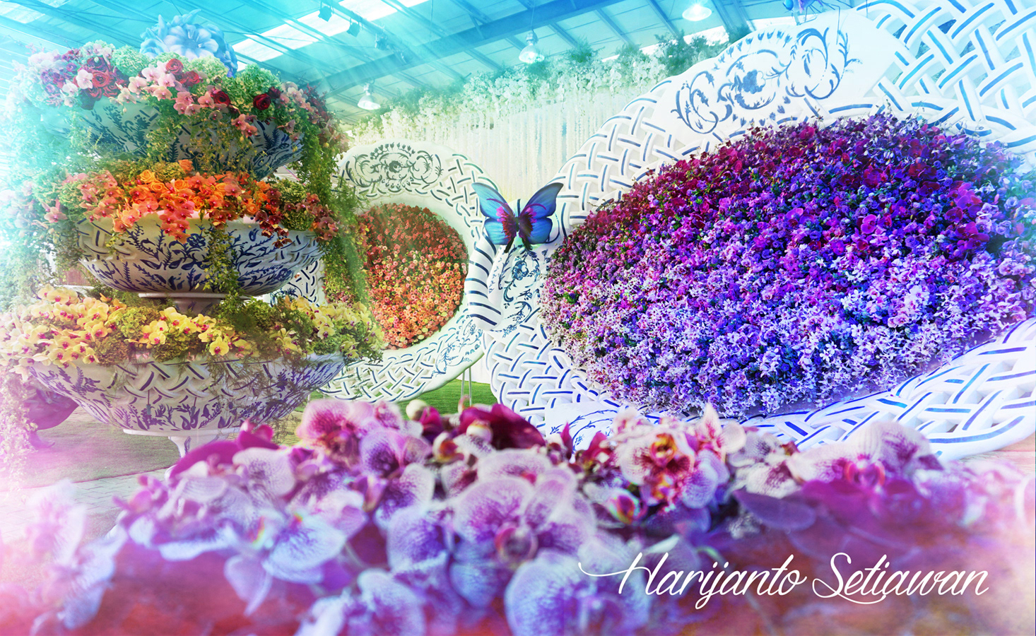 "International Orchid Show" - Sanya, China
