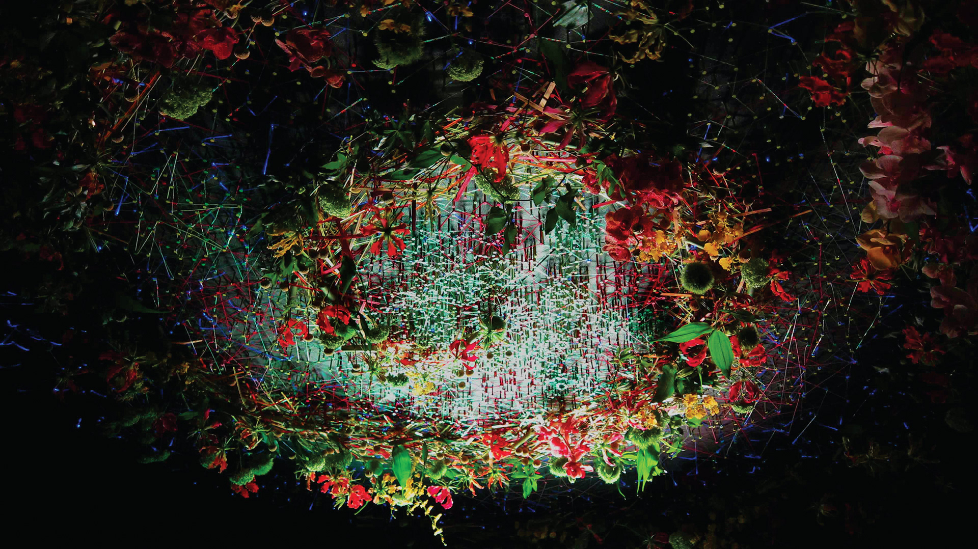 "Floral Kaleidoscope" - Singapore