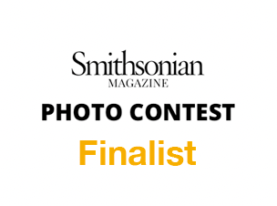 Smithsonian