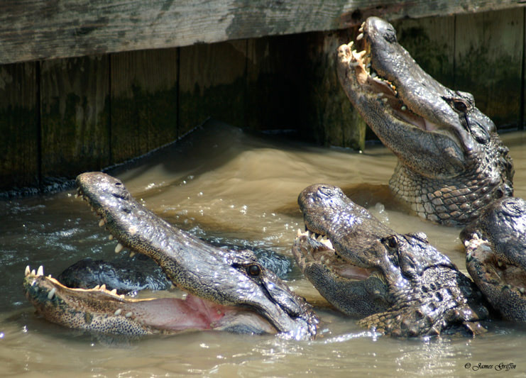 Lunchtime!