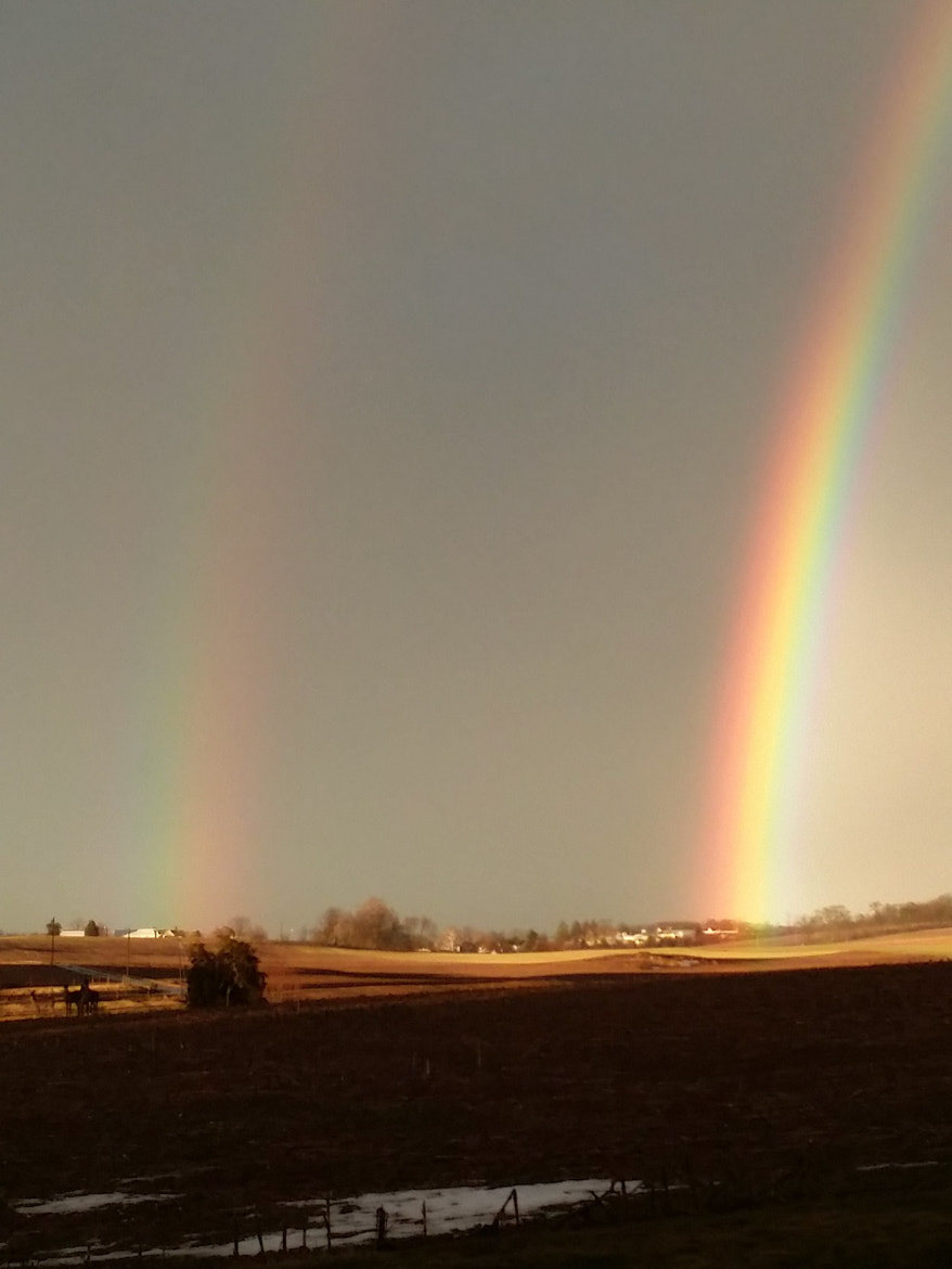 After the storm!
