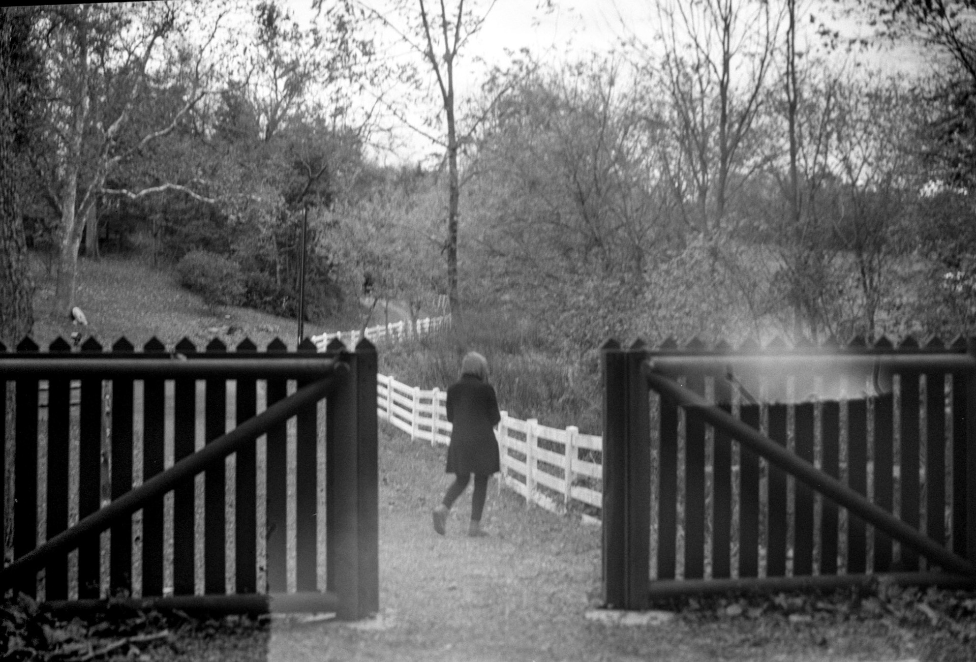 Image taken with a 105 year-old camera!