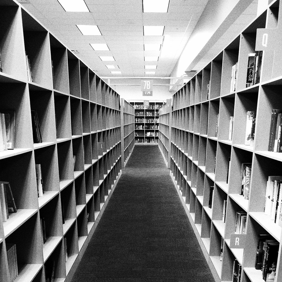 Books...Books...More Books