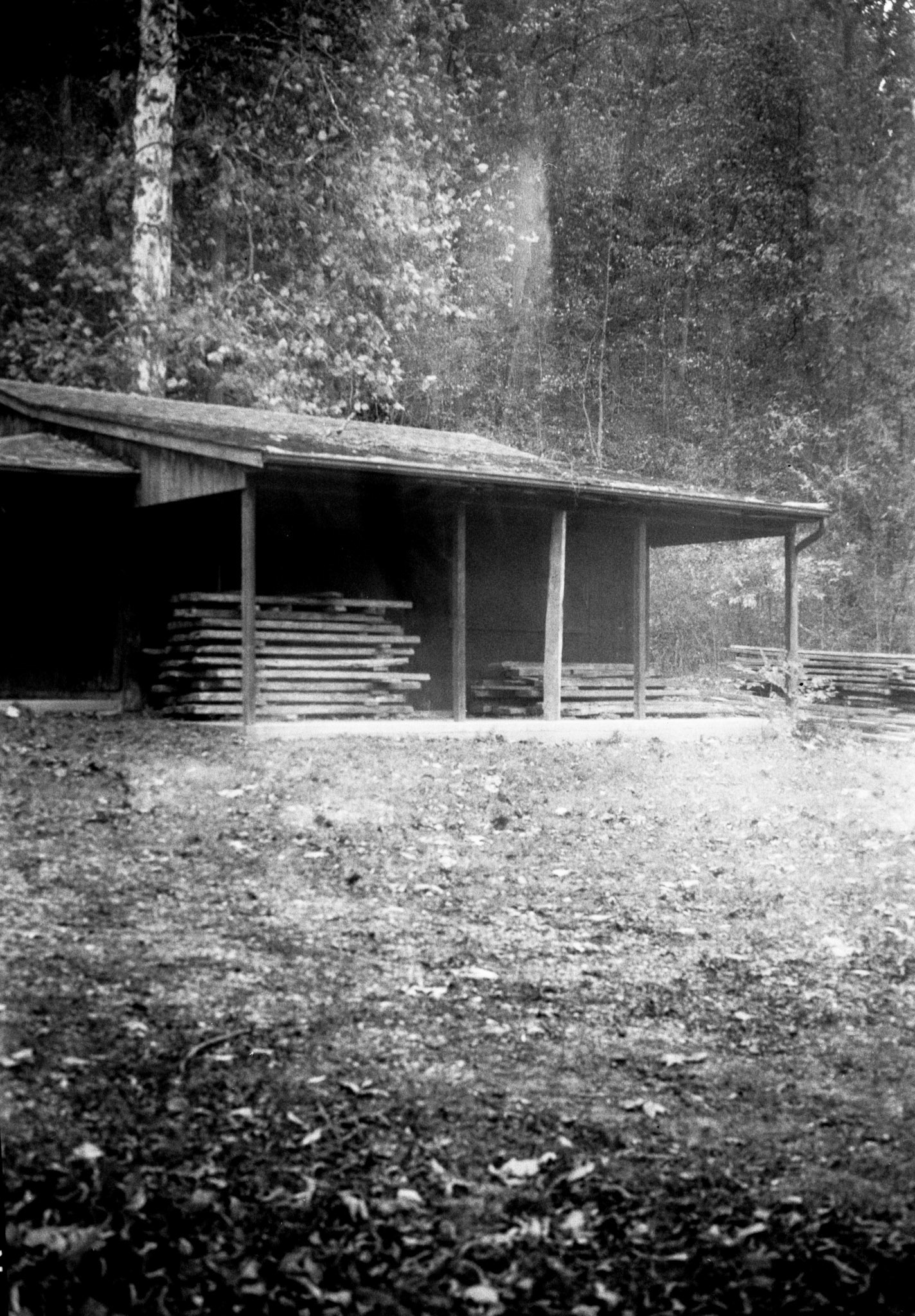 Image taken with a 105 year-old camera!