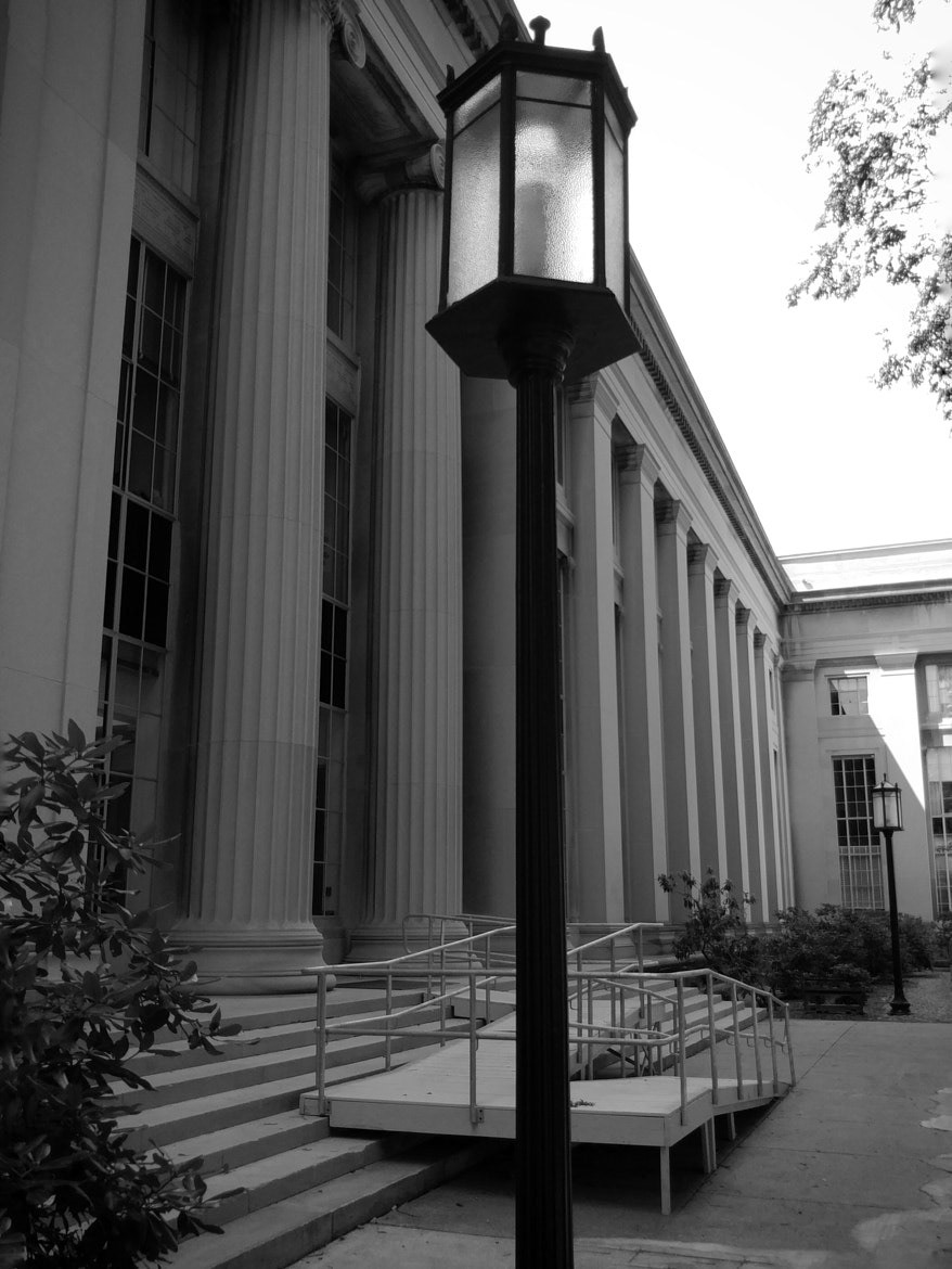 From a walk around the MIT campus.