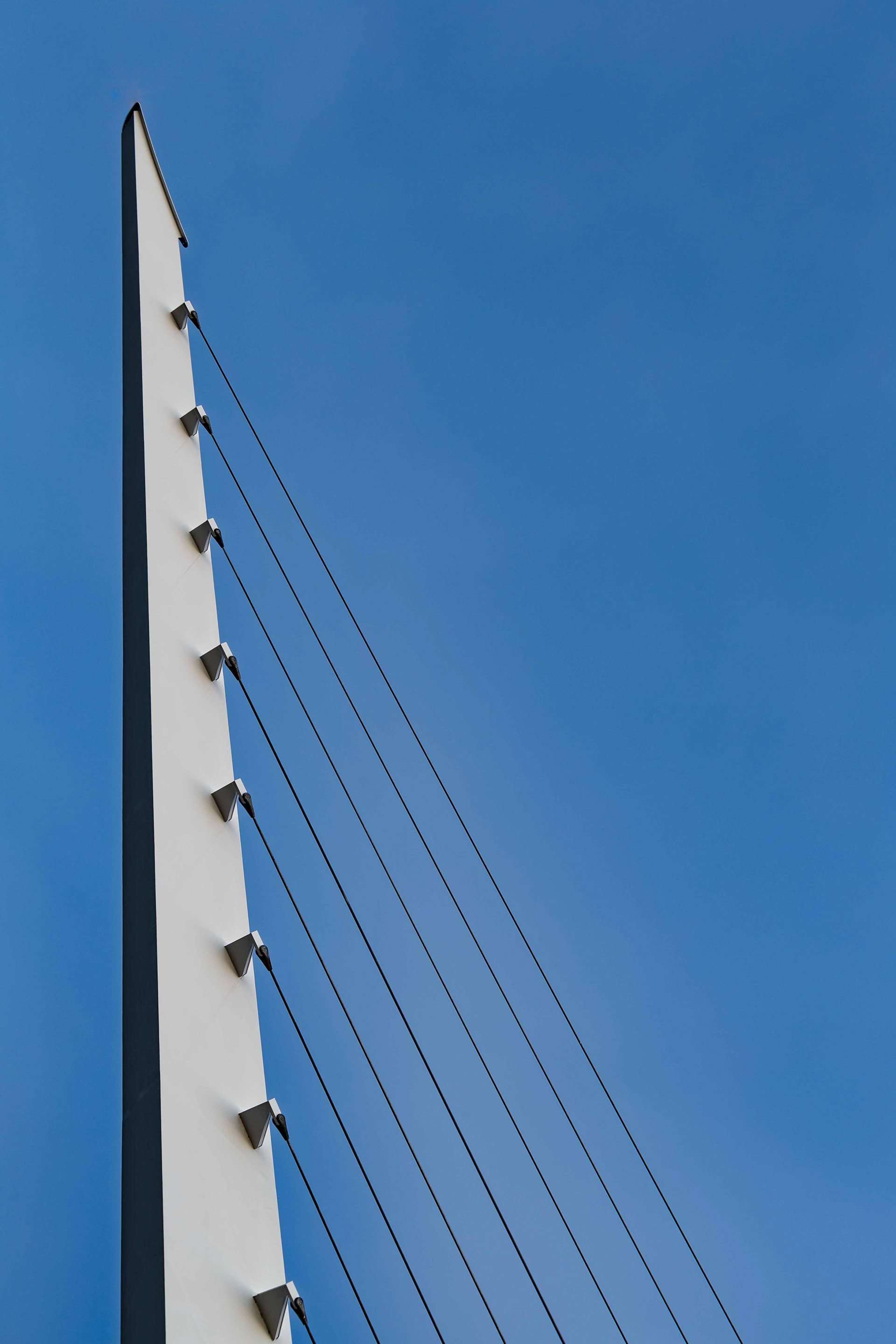 TRA6