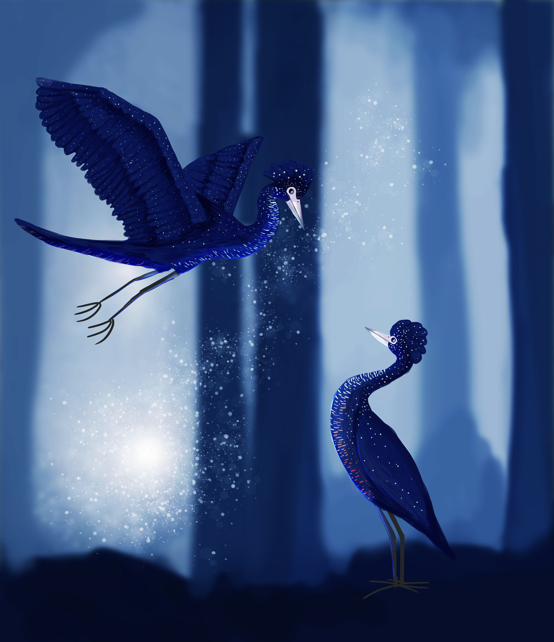 Hybridation d'un héron et d'un cacatoès 